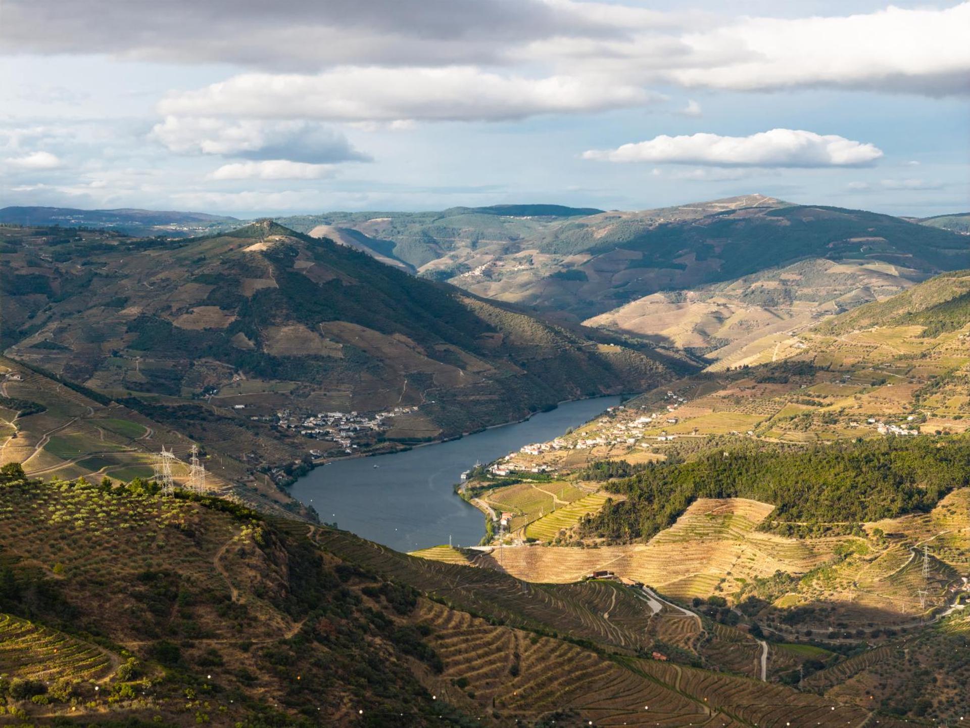 Casa de Sao Miguel Douro - Photo 209