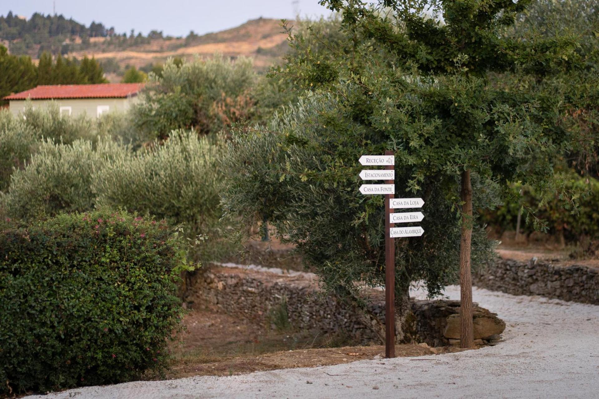 Casa de Sao Miguel Douro - Photo 211