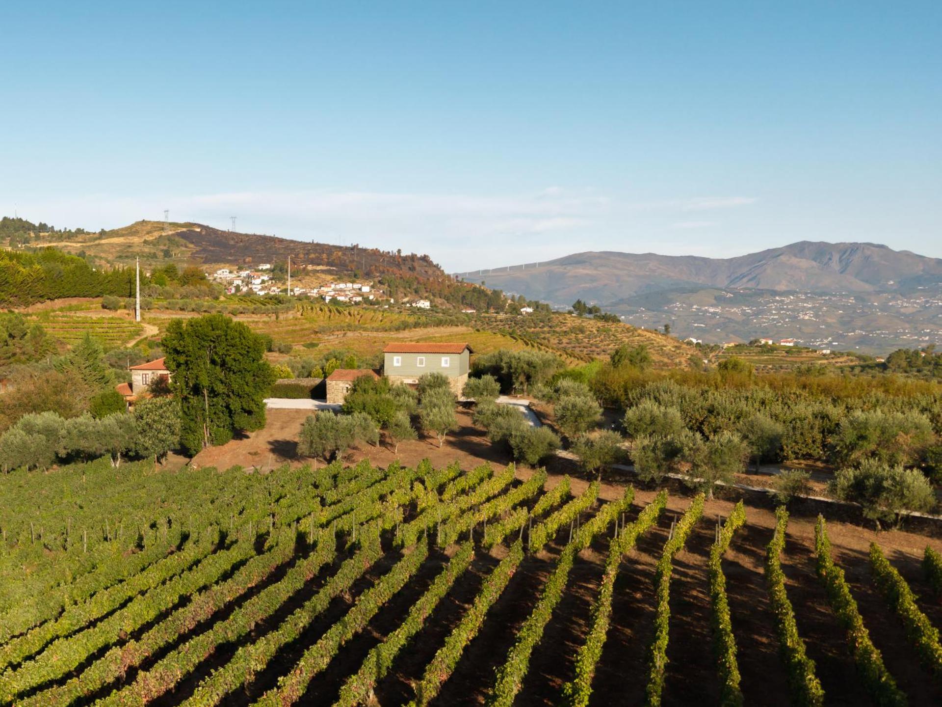 Casa de Sao Miguel Douro - Photo 129