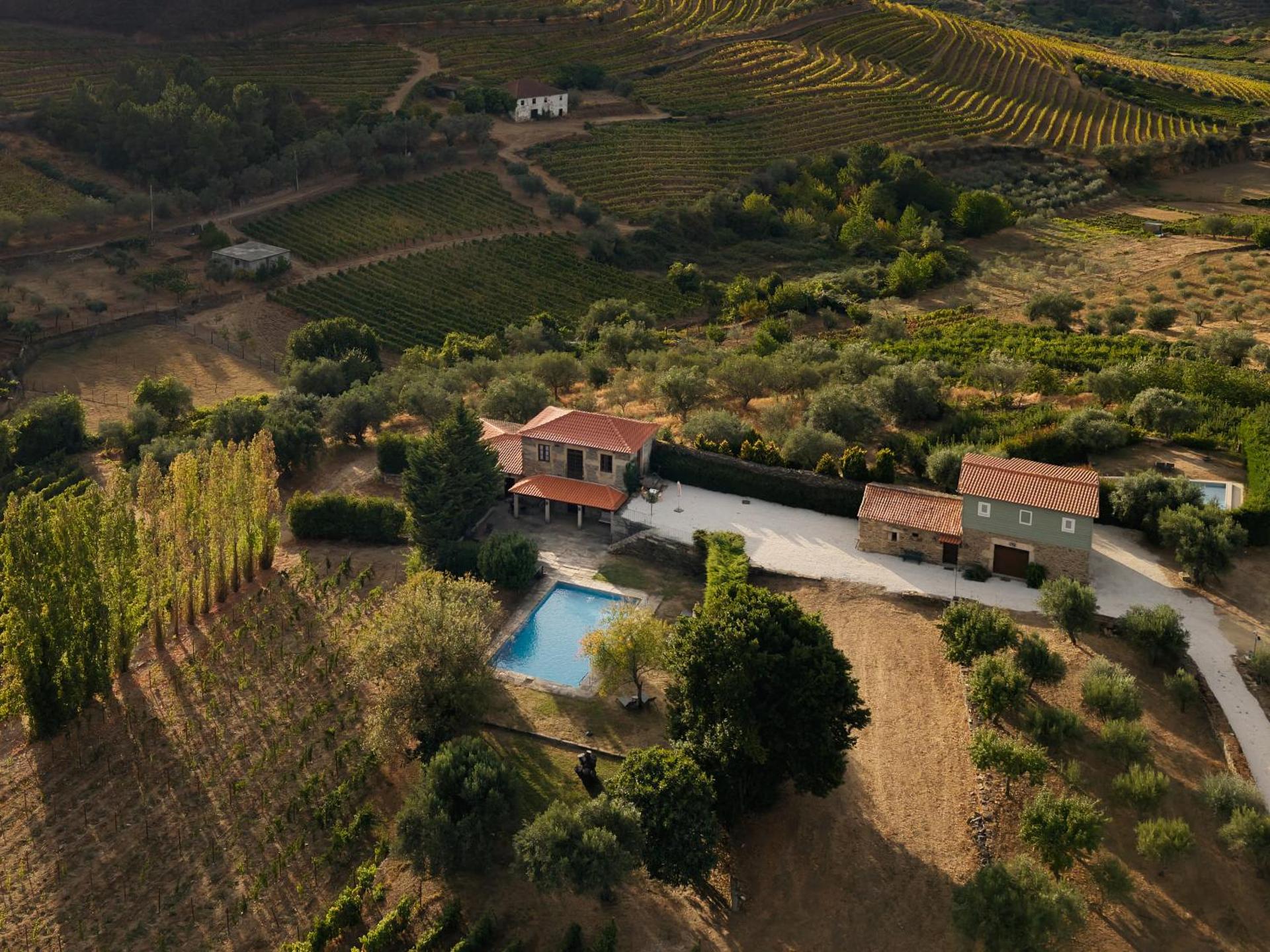 Casa de Sao Miguel Douro - Photo 66