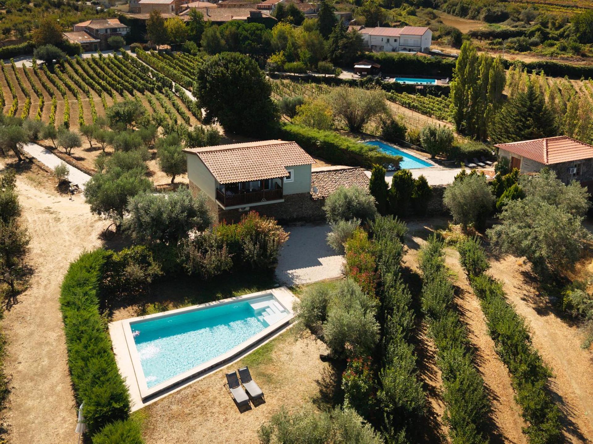 Casa de Sao Miguel Douro - Photo 130