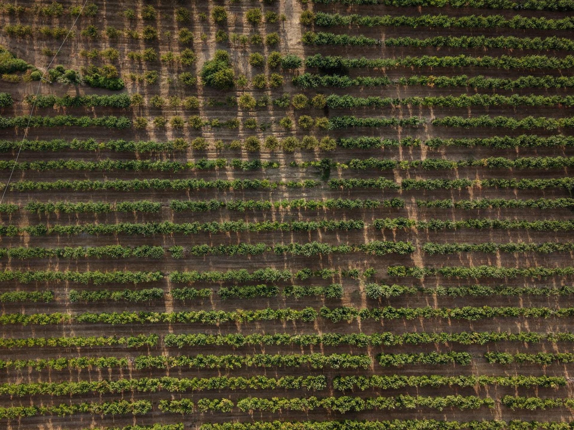 Casa de Sao Miguel Douro - Photo 213
