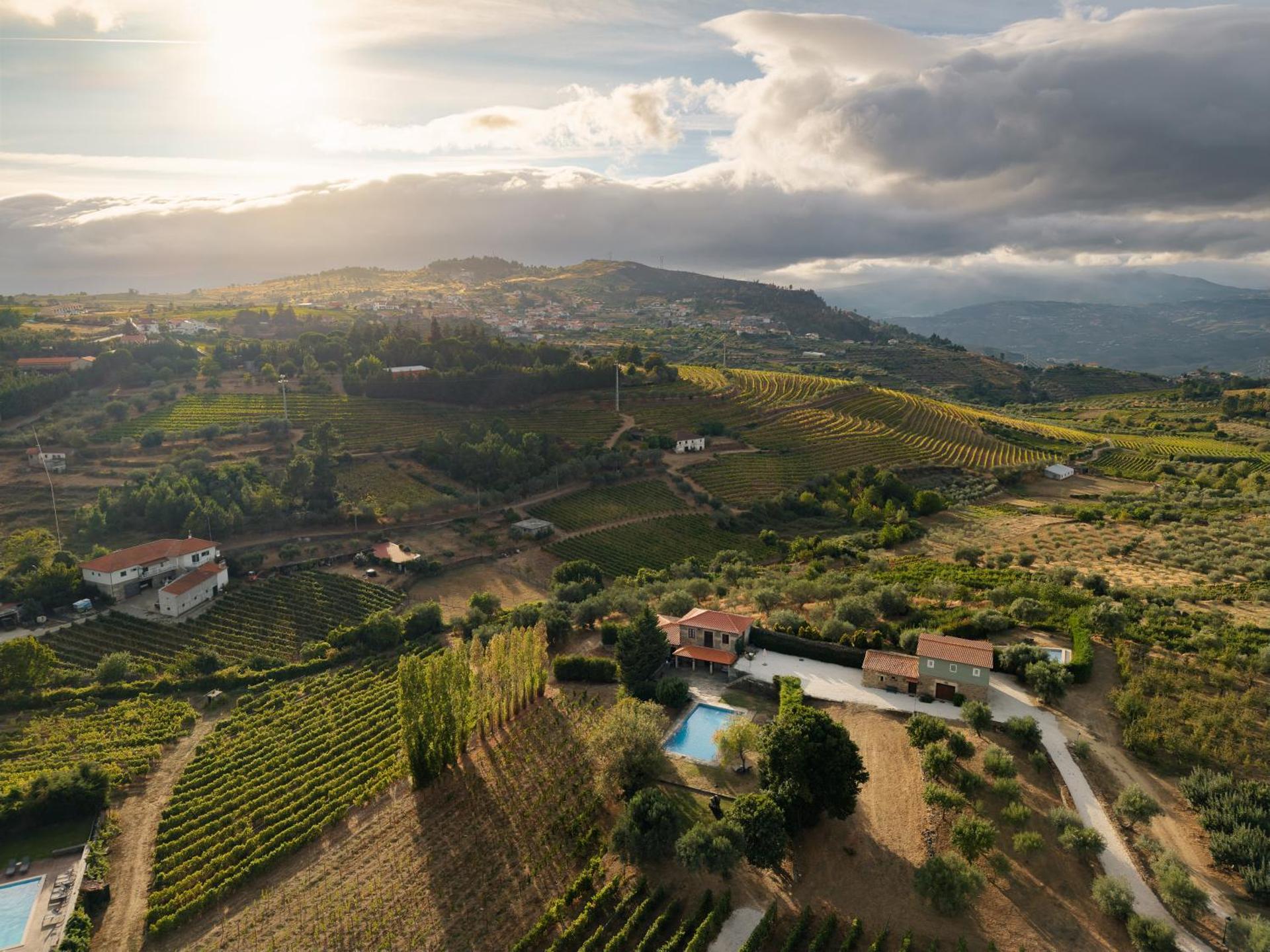 Casa de Sao Miguel Douro - Photo 67