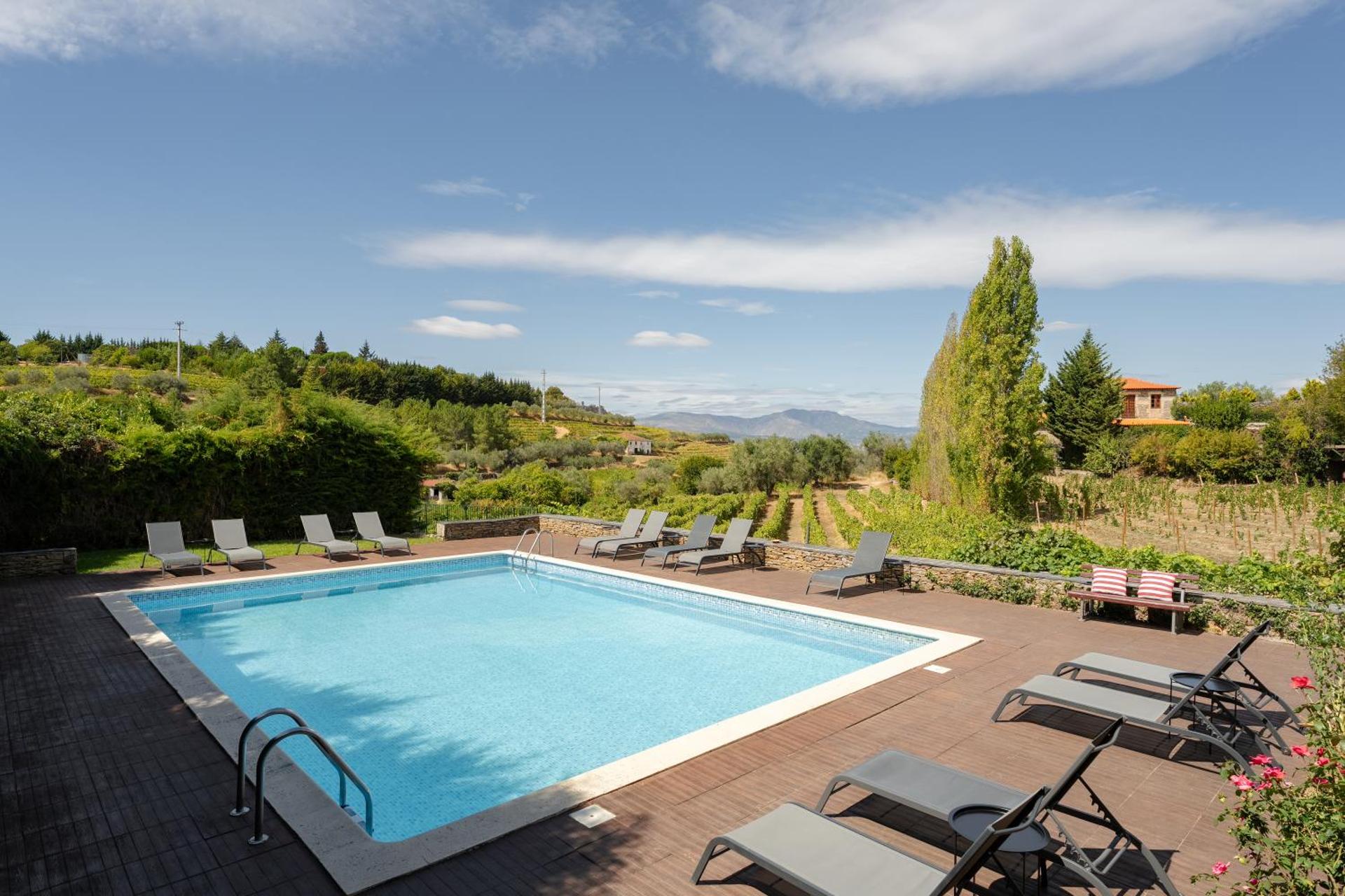 Casa de Sao Miguel Douro - Photo 36