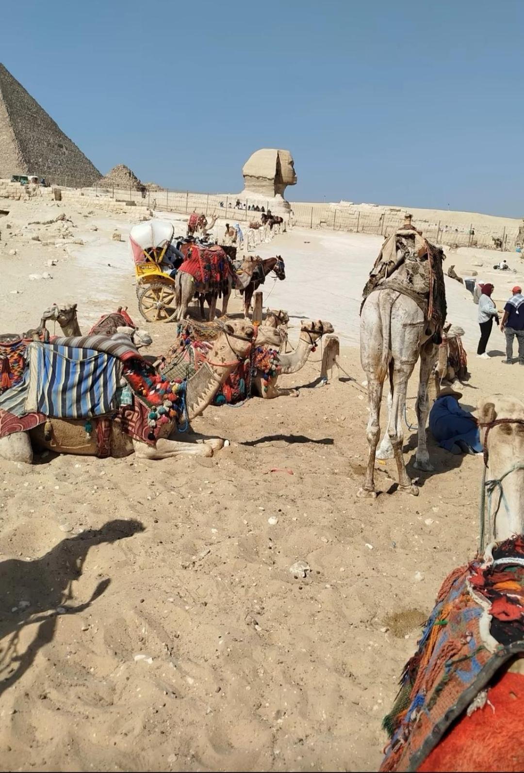 Golden king pyramids view INN - Photo 17