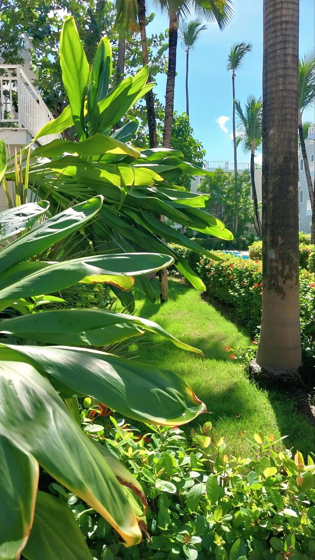 Punta Cana Beach & Garden B&B 1 - Photo 6