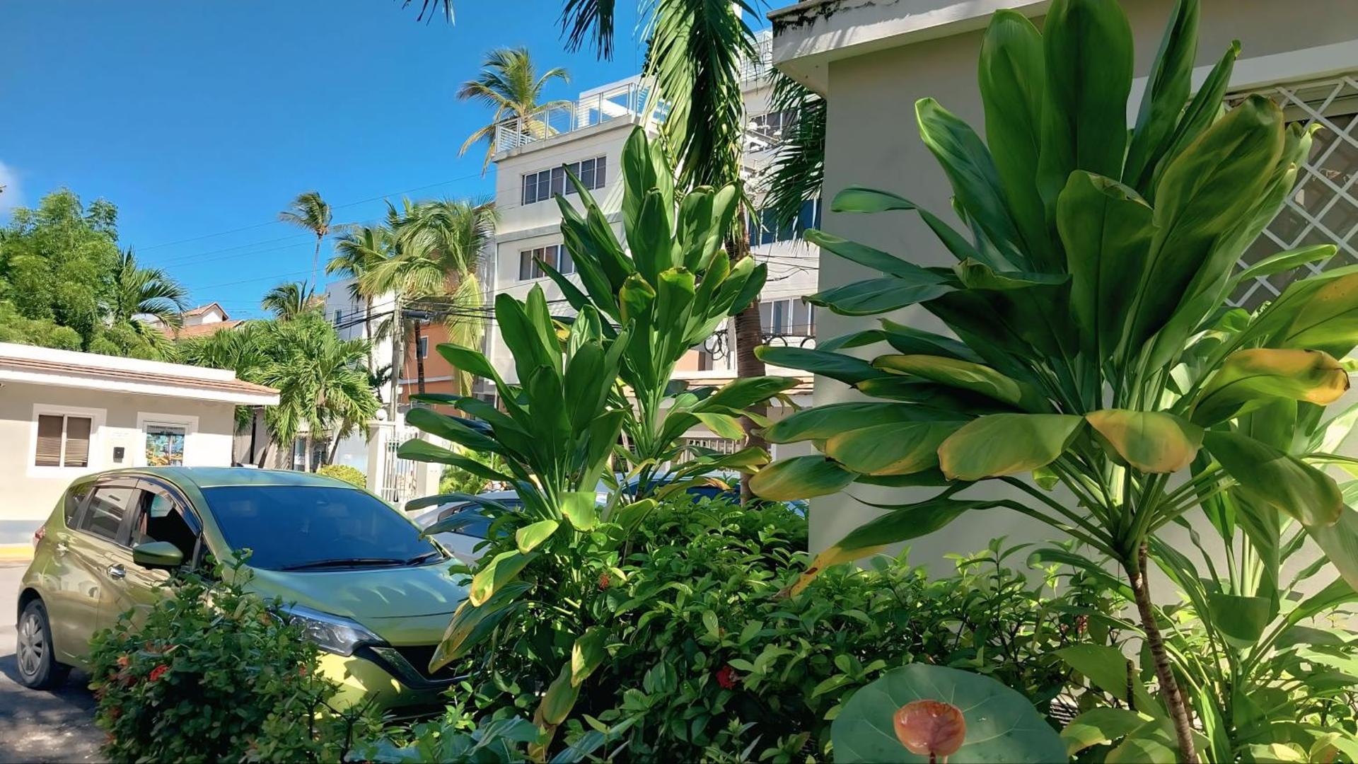 Punta Cana Beach & Garden B&B 1 - Photo 2