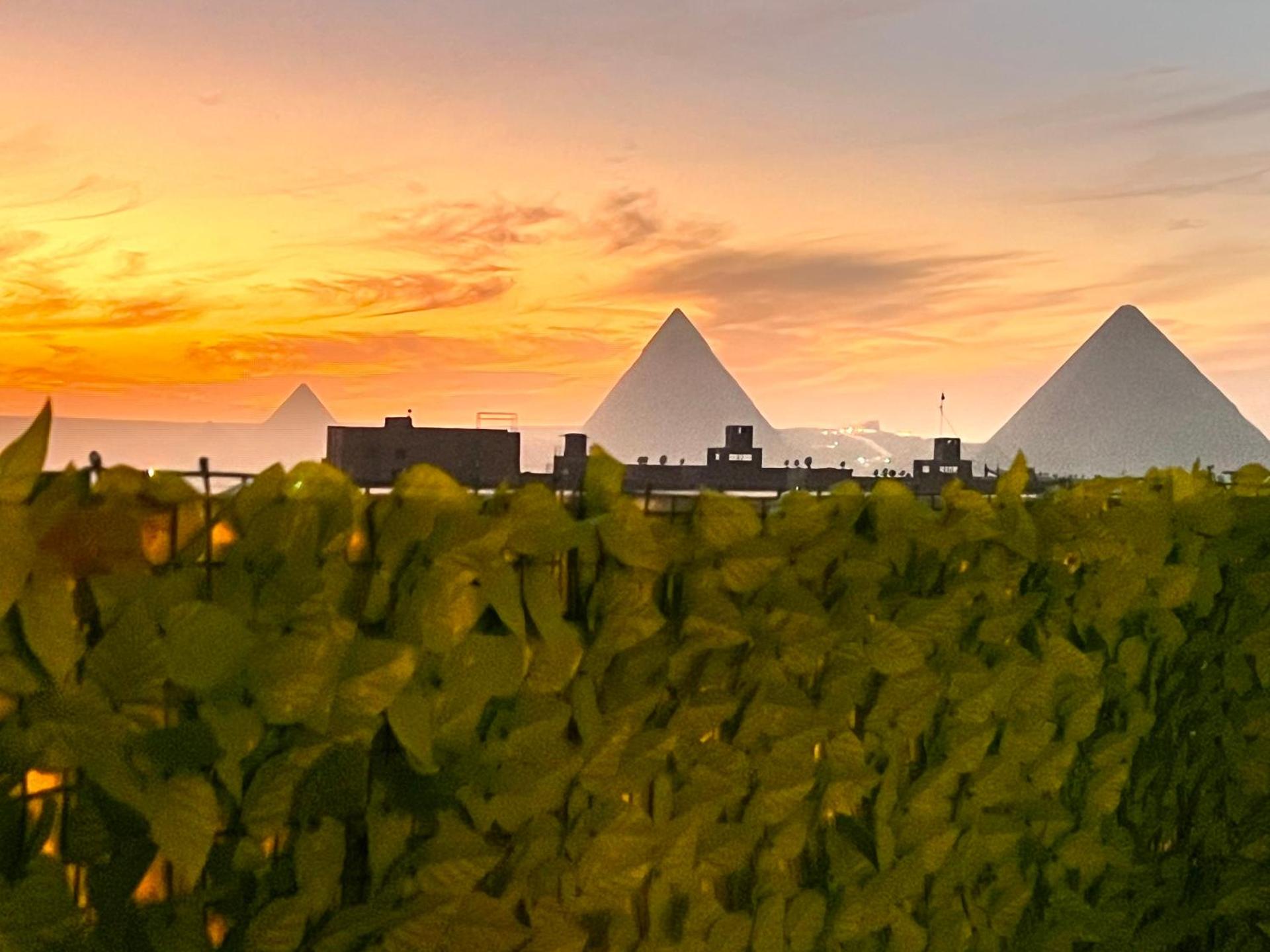 Rose pyramids view - Photo 38