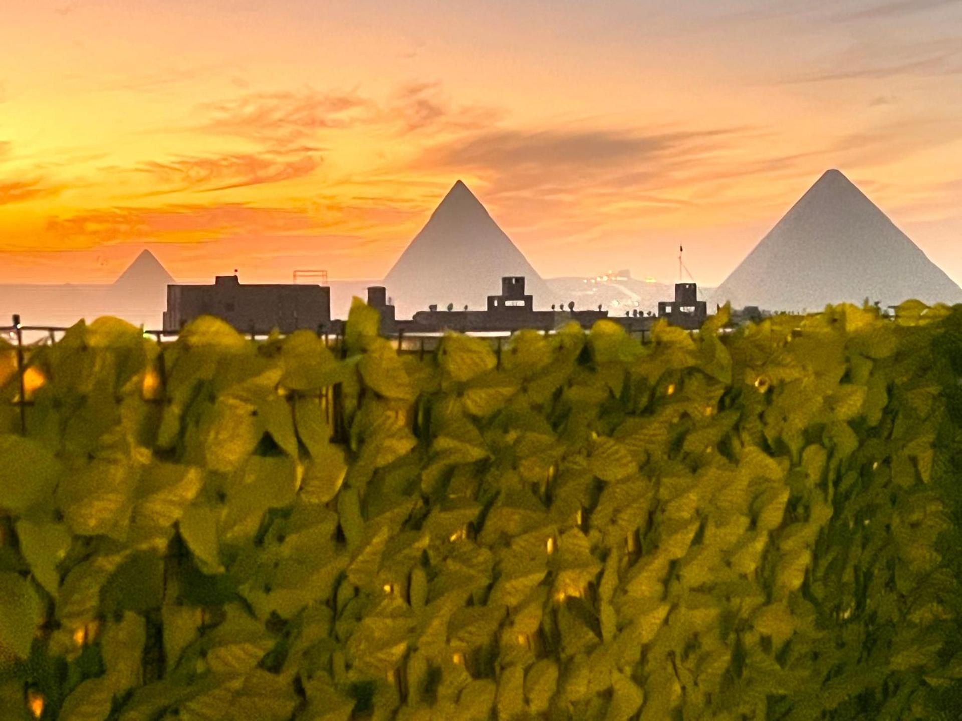 Rose pyramids view - Photo 29