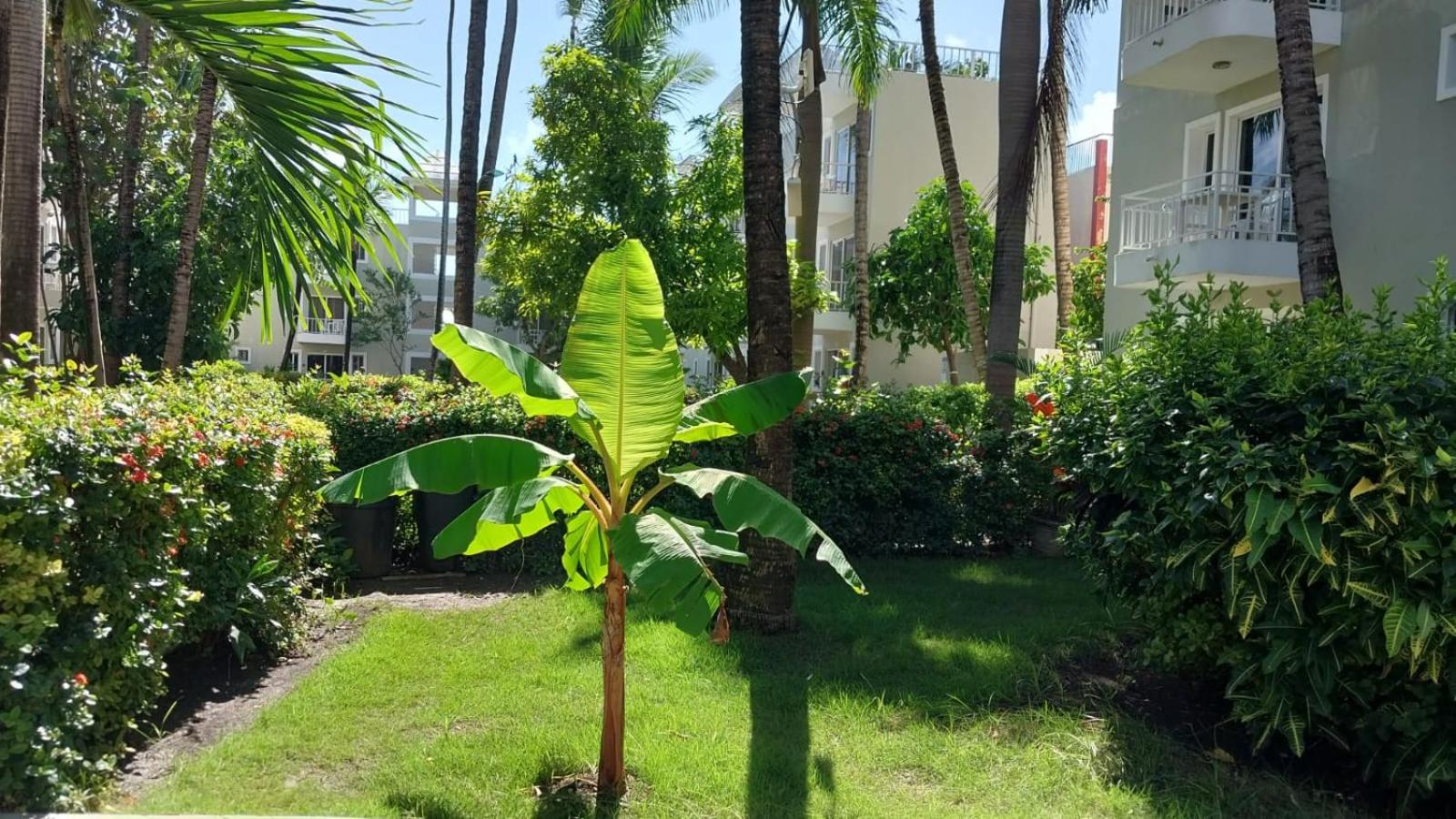 Punta Cana Beach & Garden B&B 1 - Photo 14