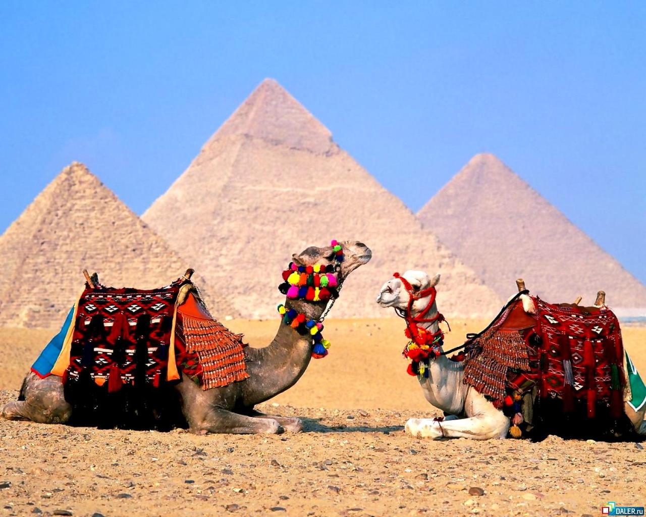 pyramid haven hotel - Photo 25