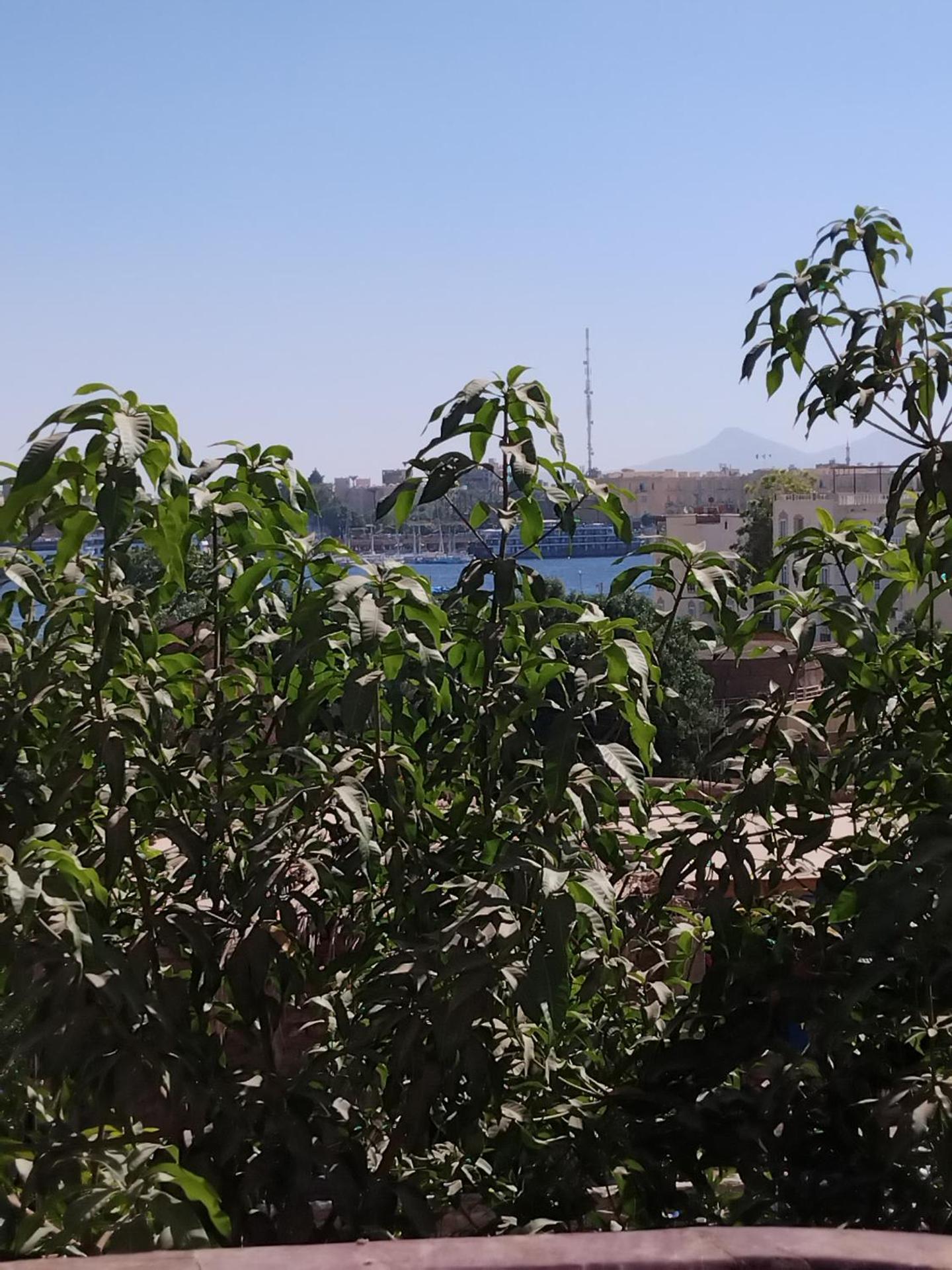 Ramsess Hotel - Photo 13