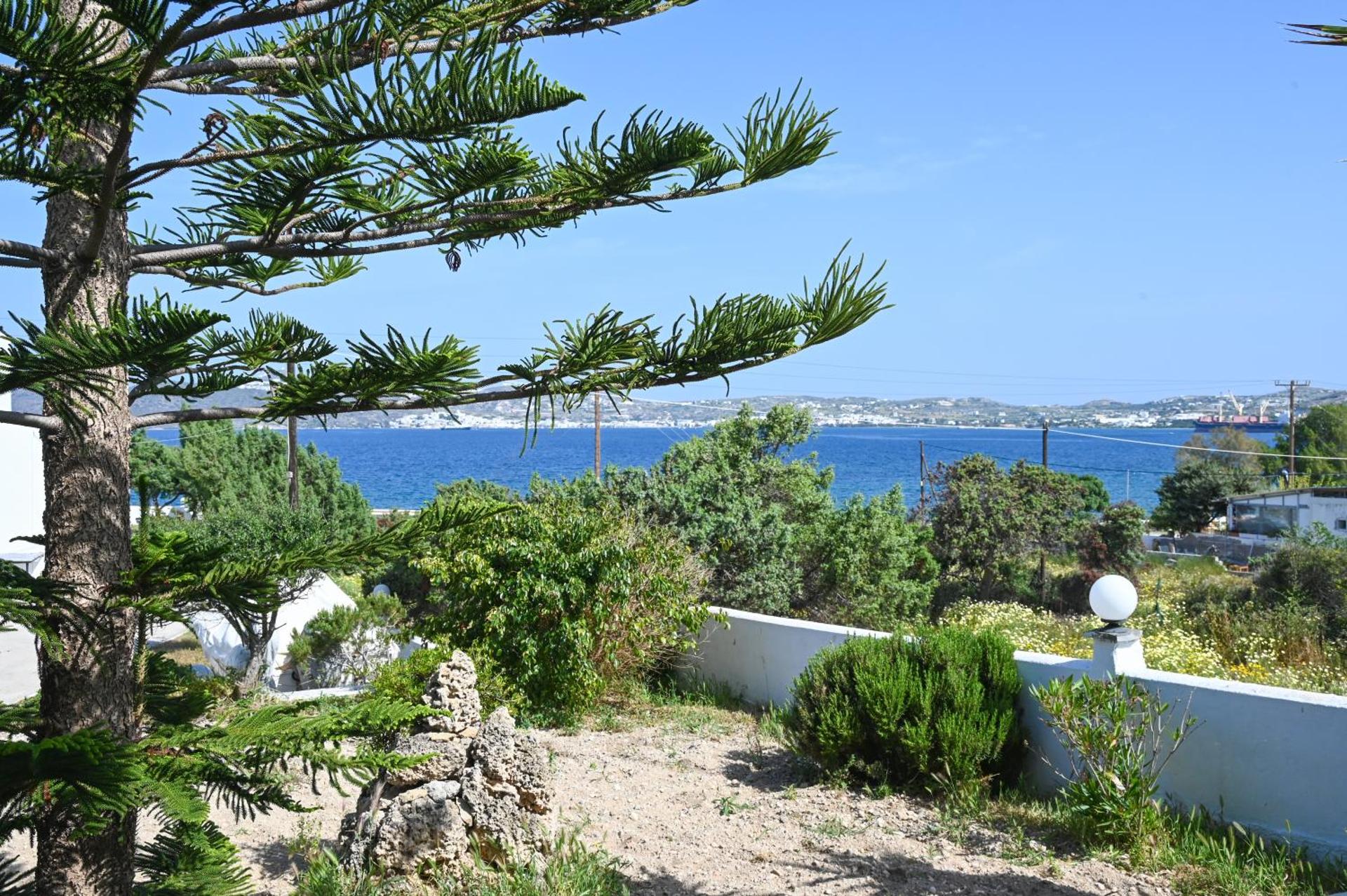 Akrothalassia - Photo 92