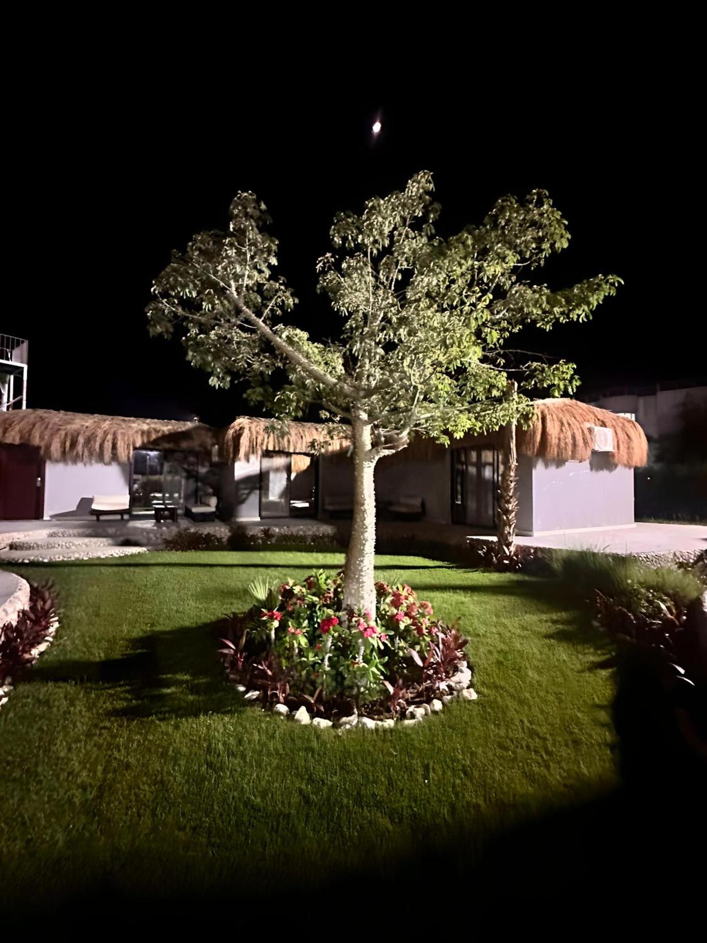 Queen T Suites All Inclusive resort - Photo 115