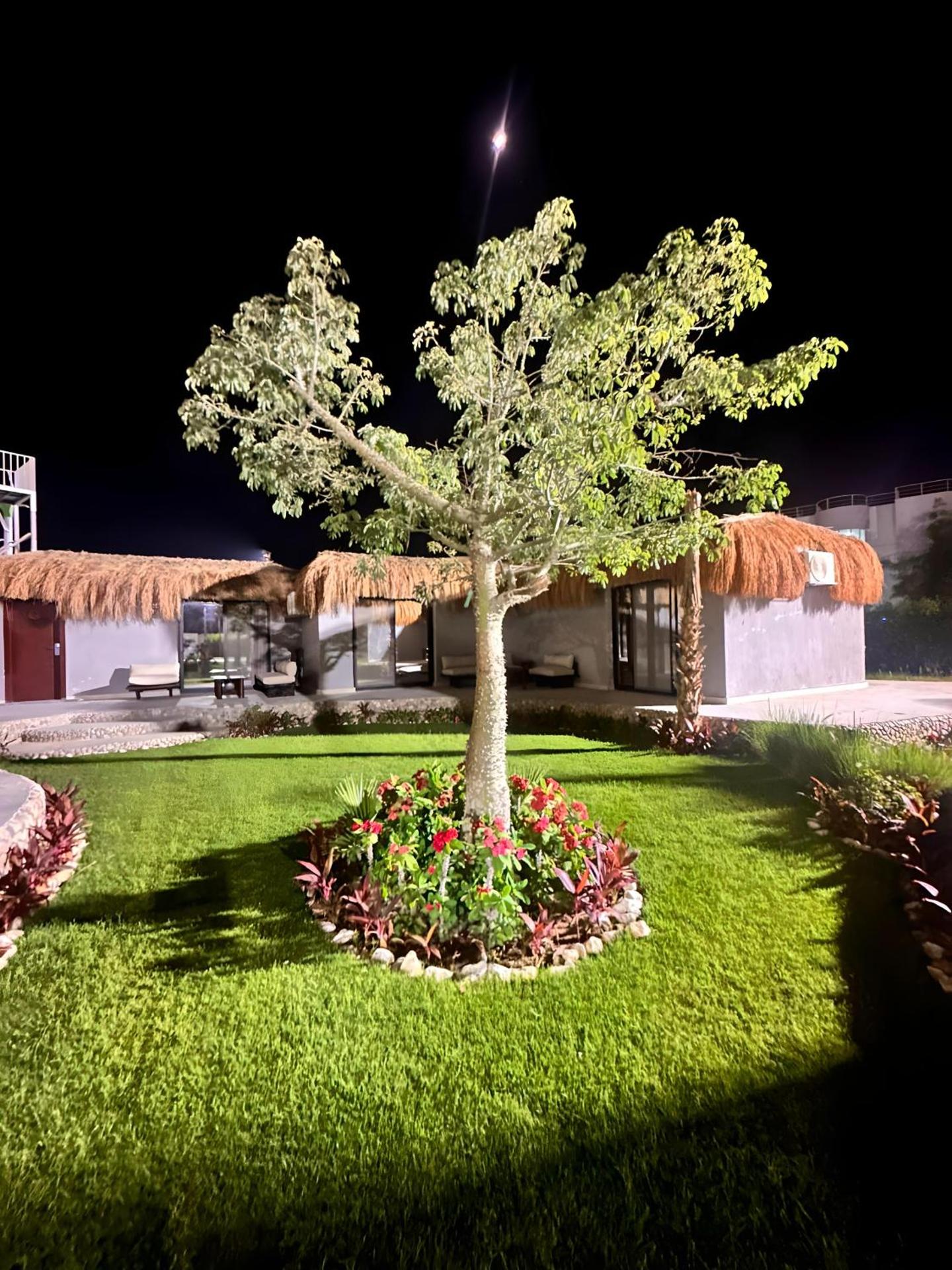 Queen T Suites All Inclusive resort - Photo 60