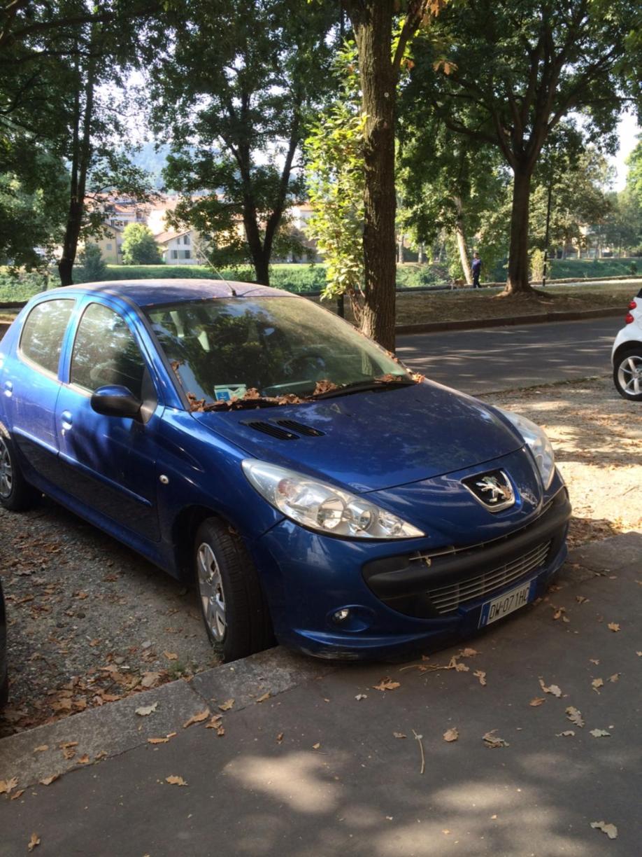 La Terrazza Sul Po - Photo 25