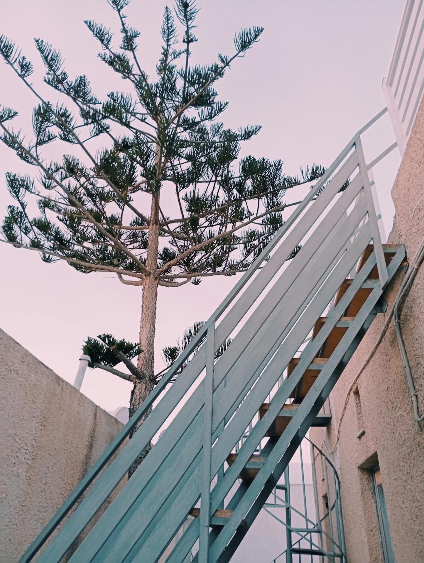 The Best - Photo 241