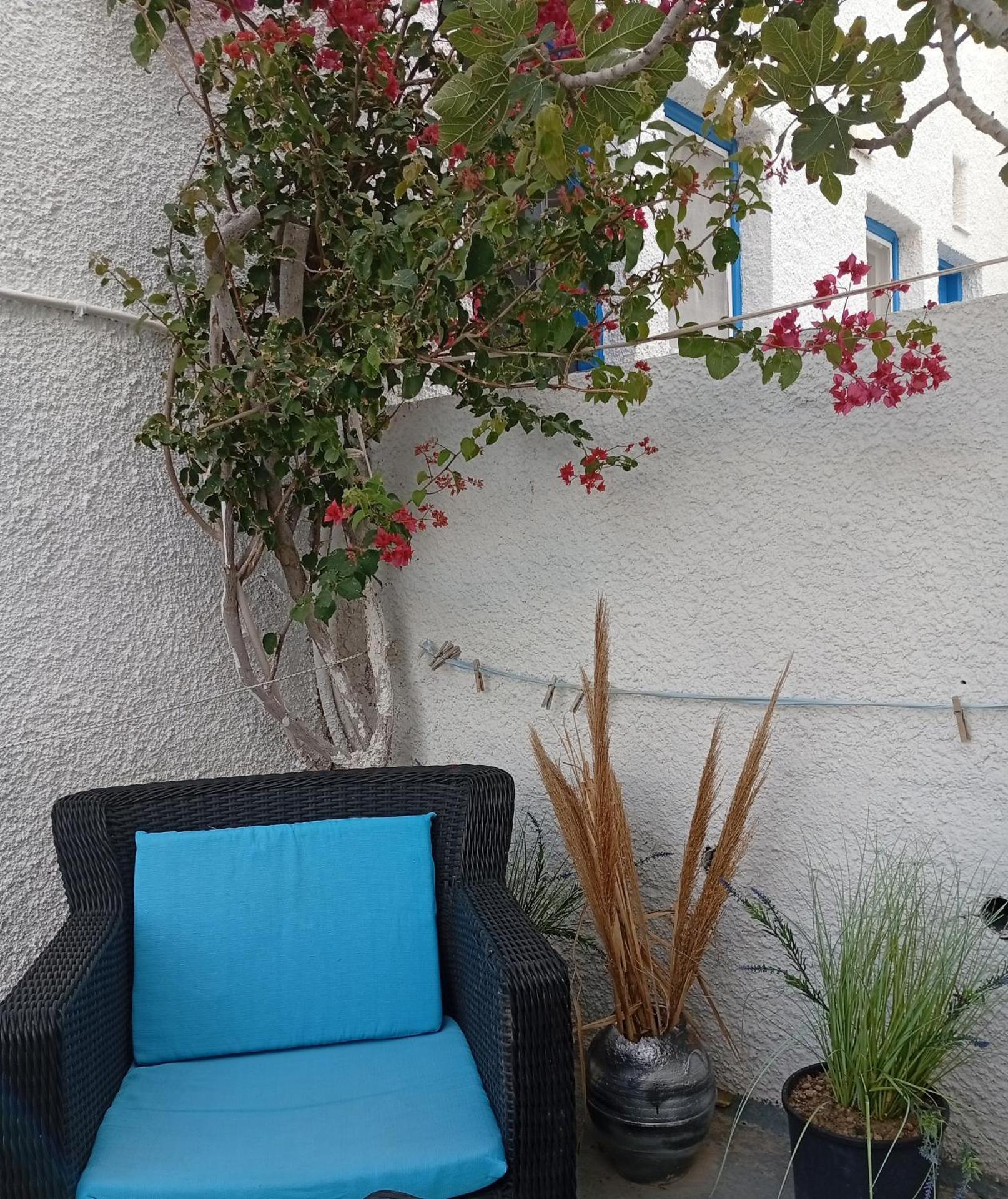 The Best - Photo 226