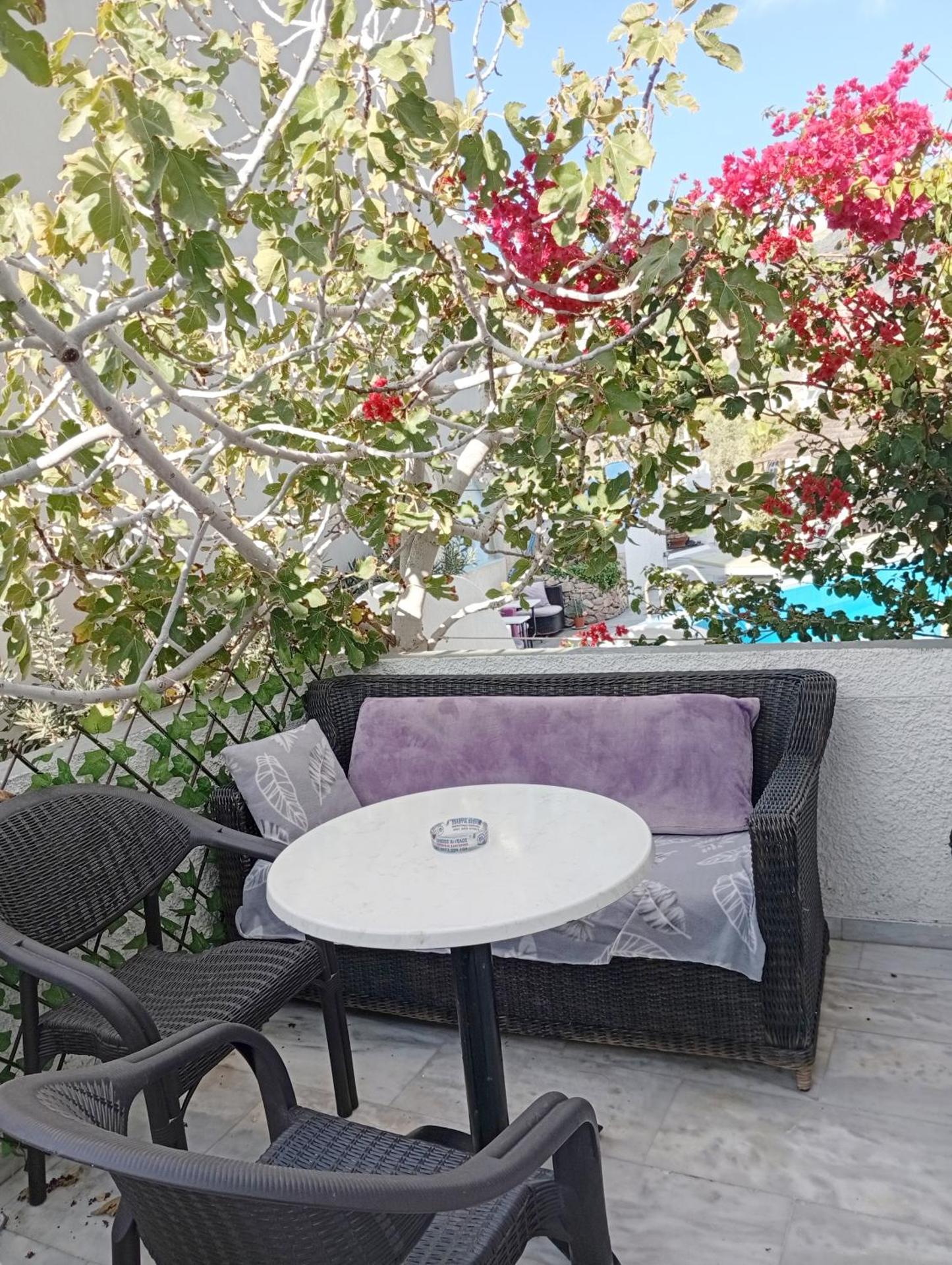 The Best - Photo 219