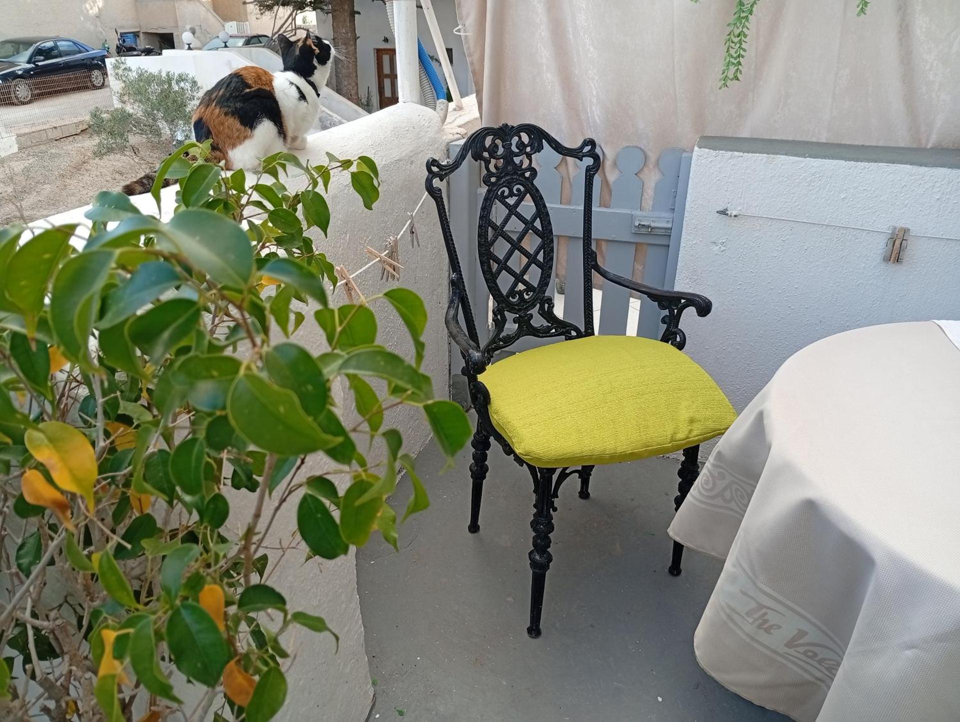 The Best - Photo 251