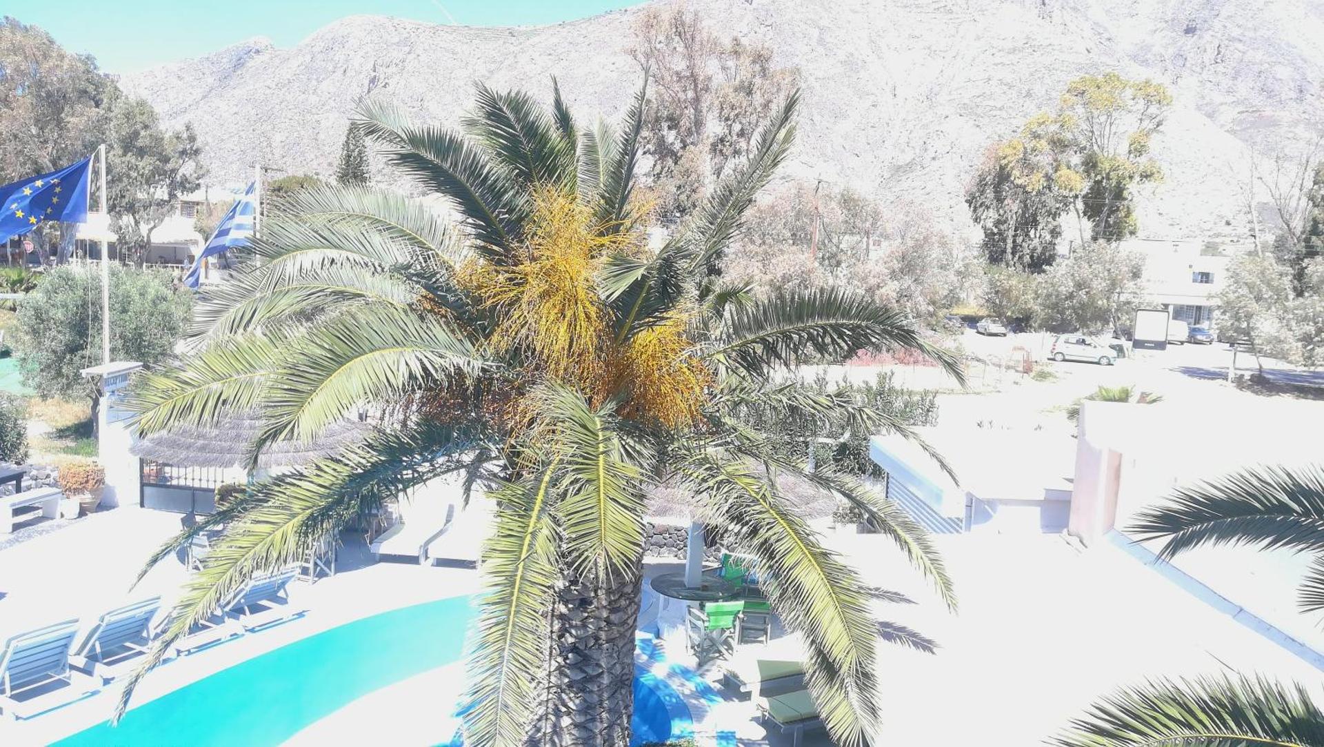 The Best - Photo 190