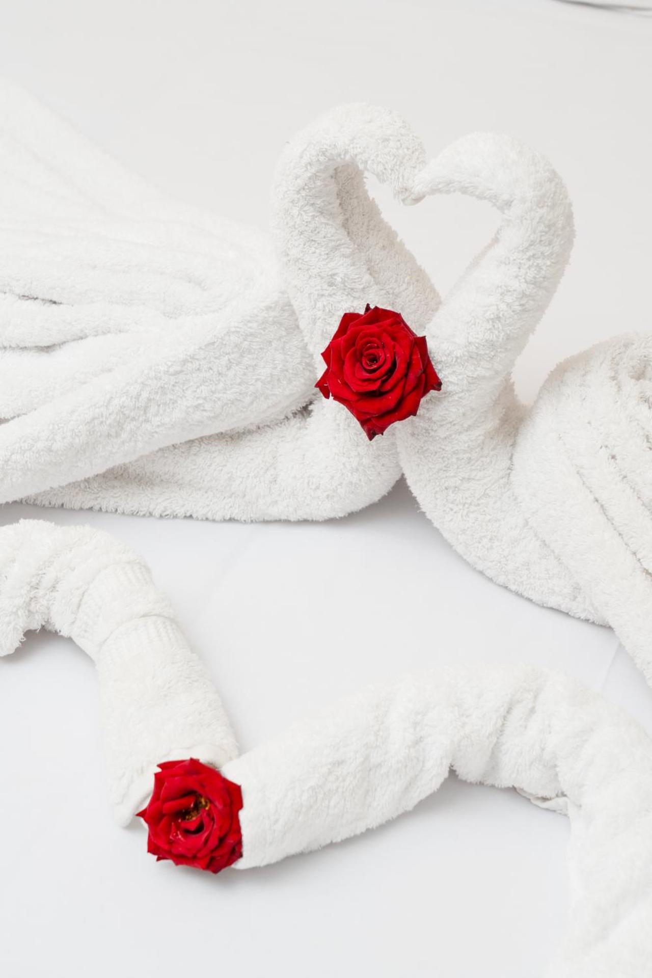 Tiye Pyramids Hotel - Photo 53