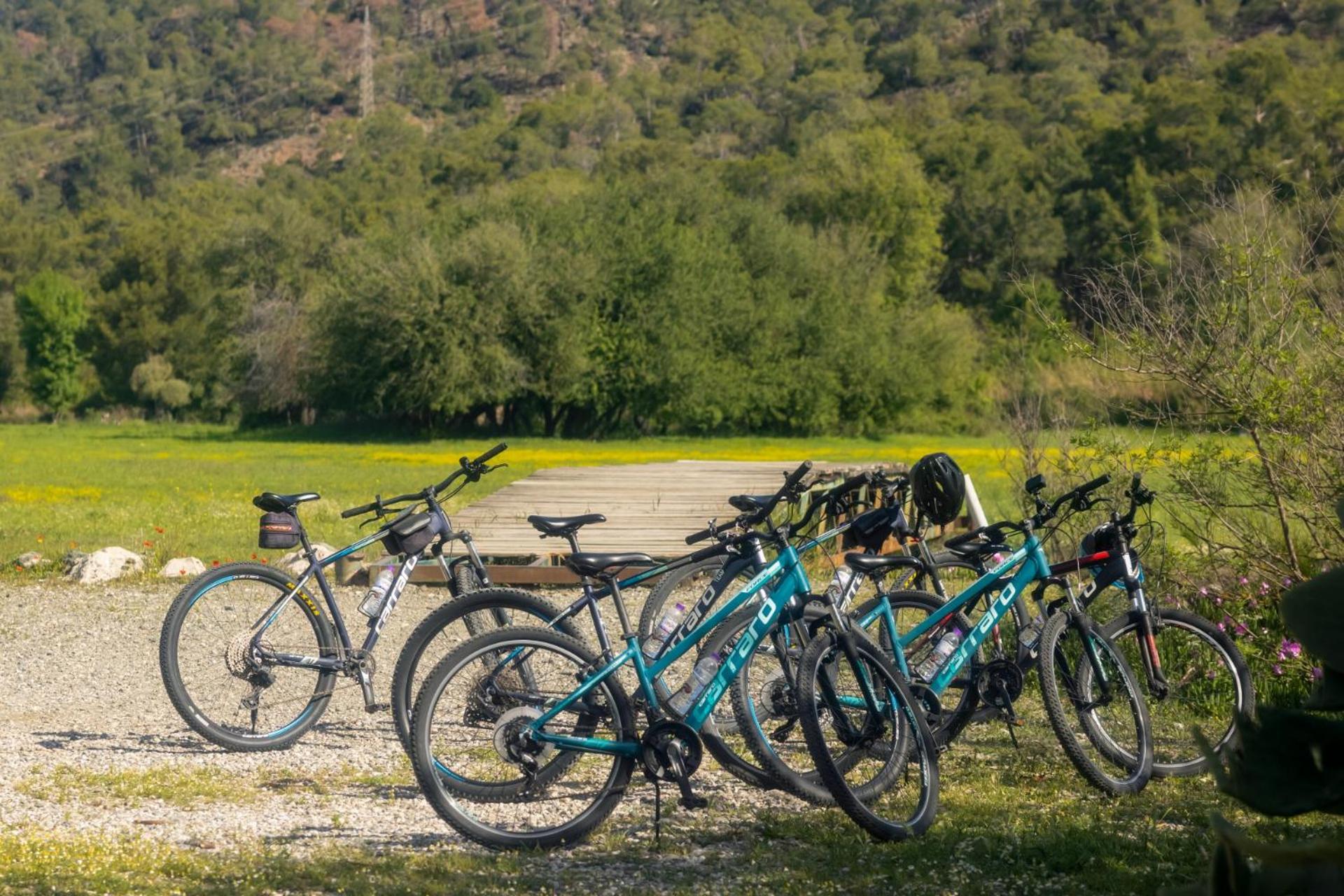 Nirvana Dolce Vita - Ultra All Inclusive - Photo 112