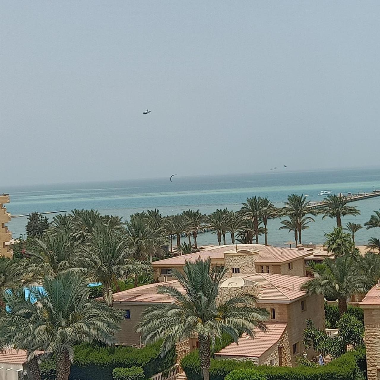 Palma Resort - Photo 2