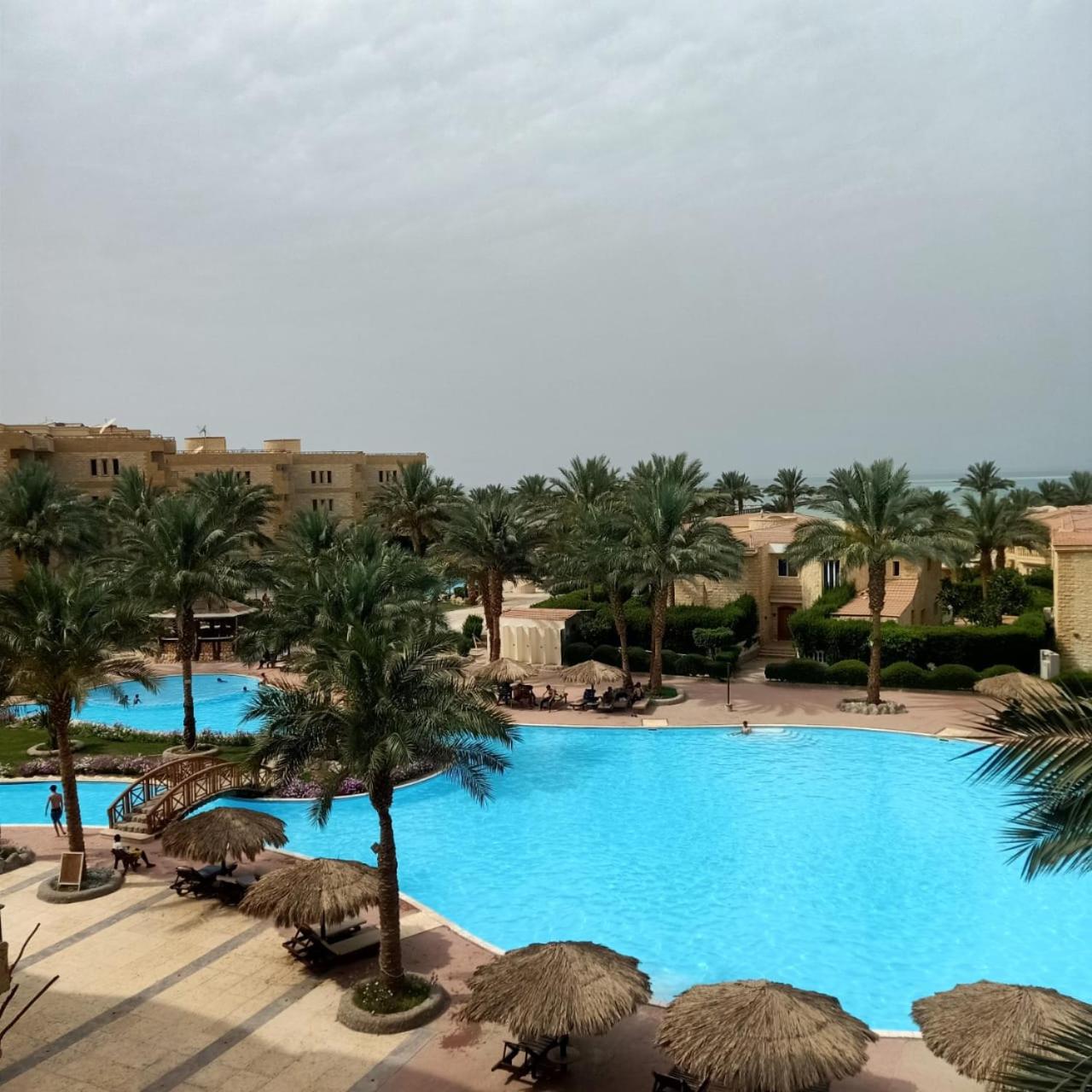 Palma Resort - Photo 50