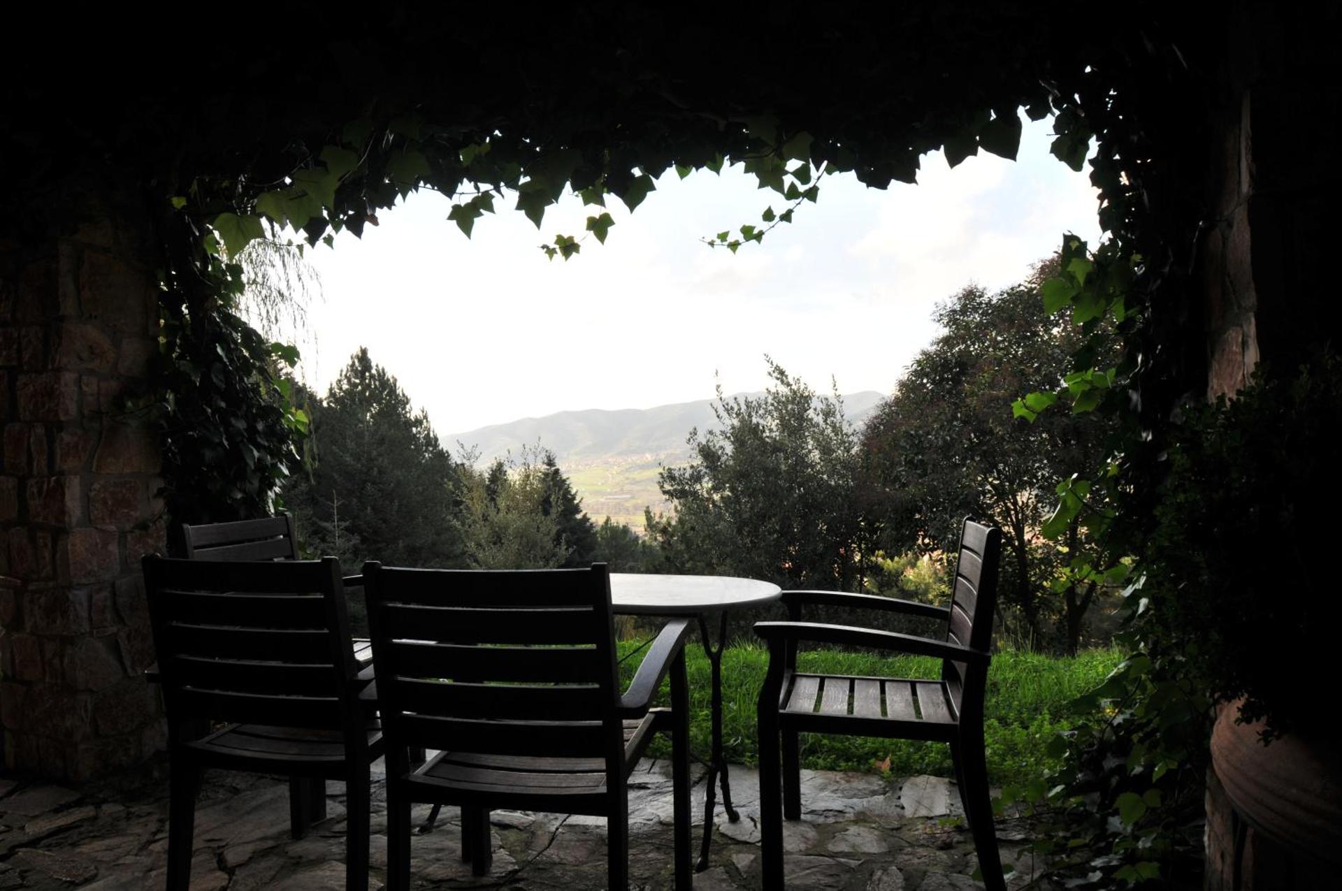 Aphrodite's Inn Kalavrita - Photo 128