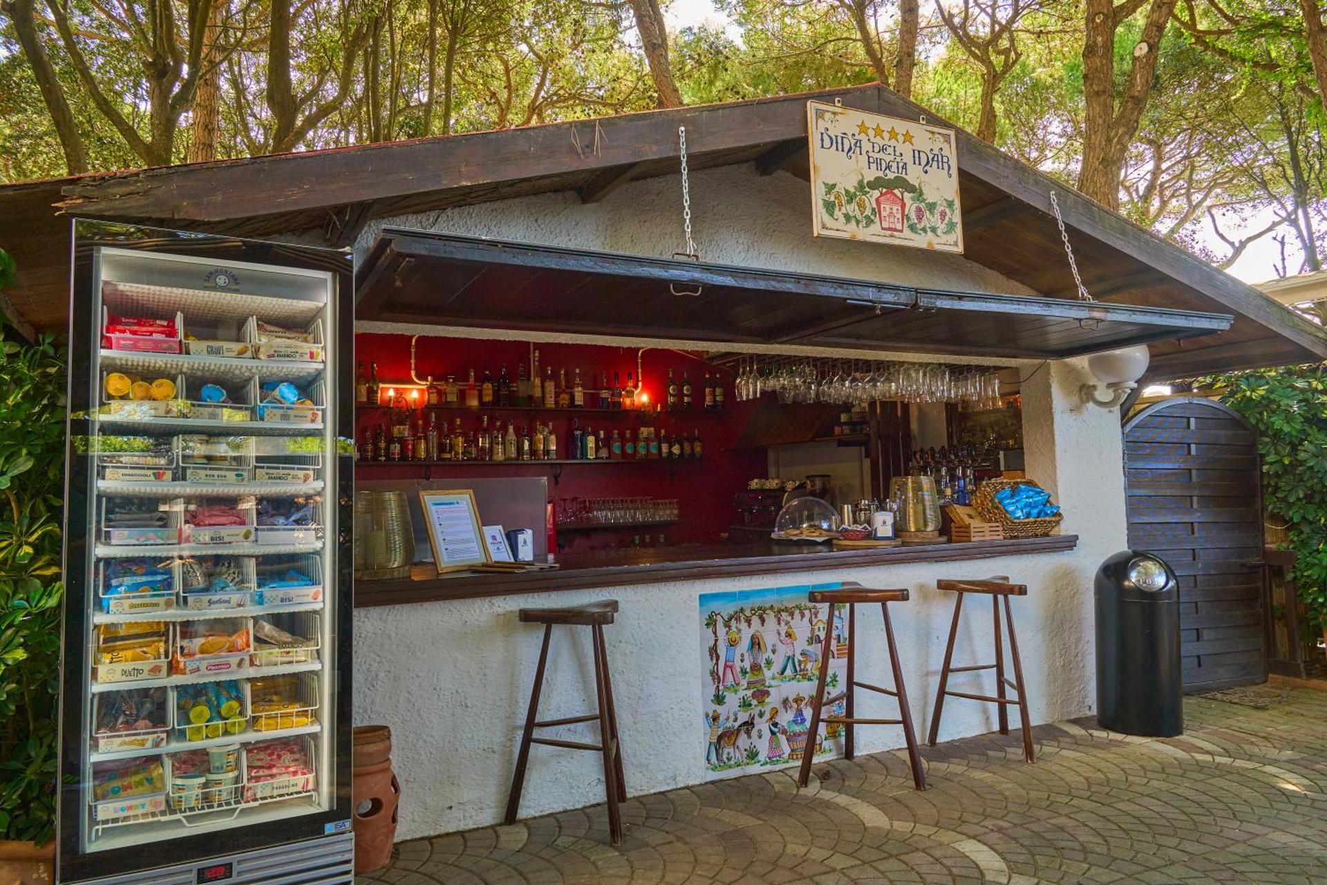 Hotel Viña del Mar Pineta - Photo 61