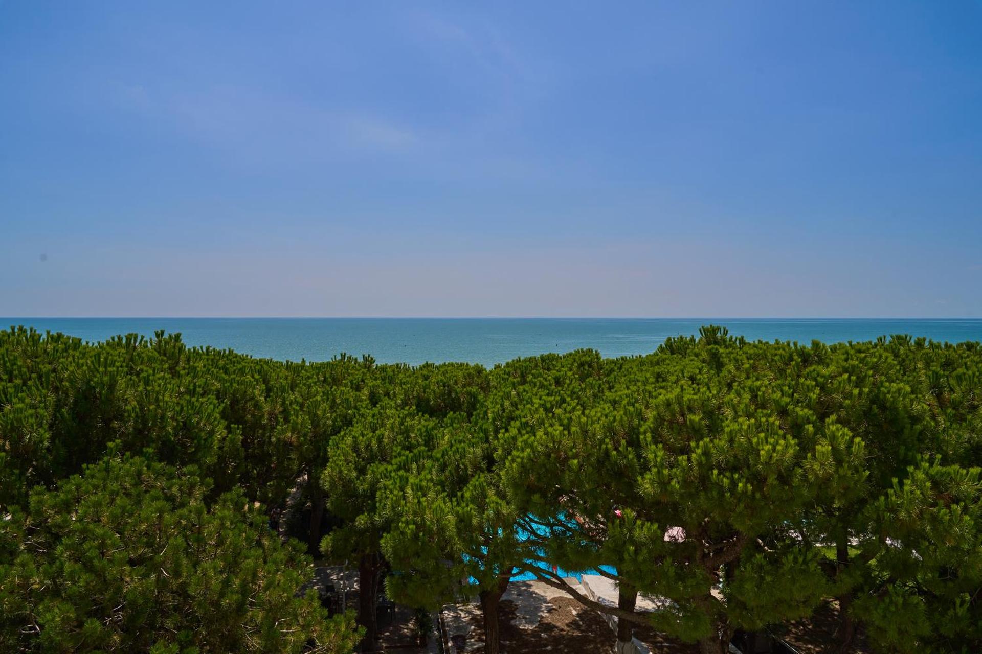 Hotel Viña del Mar Pineta - Photo 24