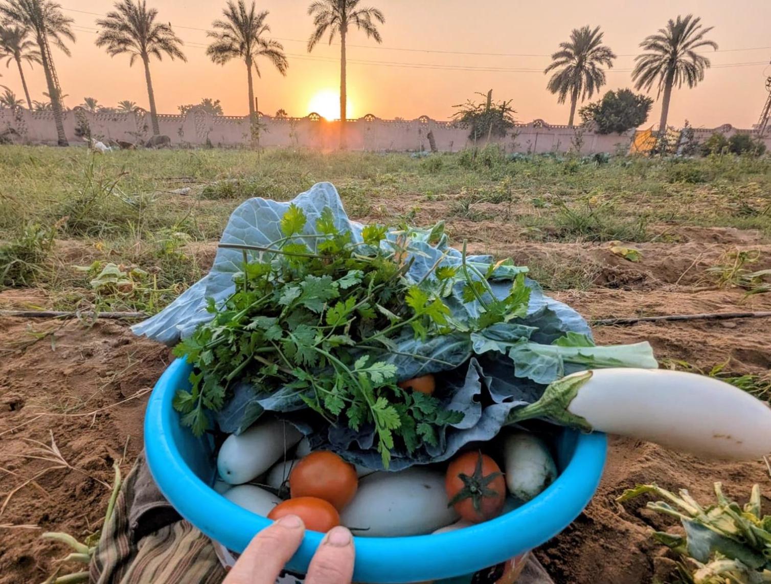 Alf Layla Resort - Photo 15