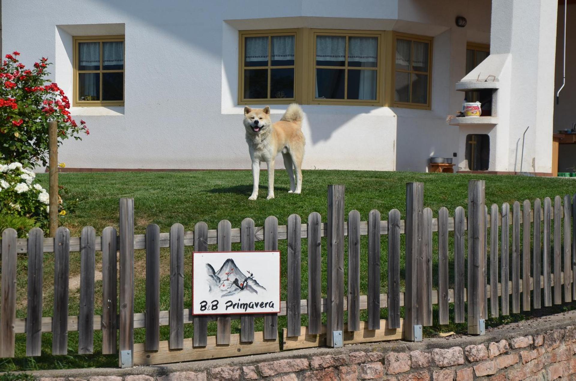 B&B Primavera - Photo 10