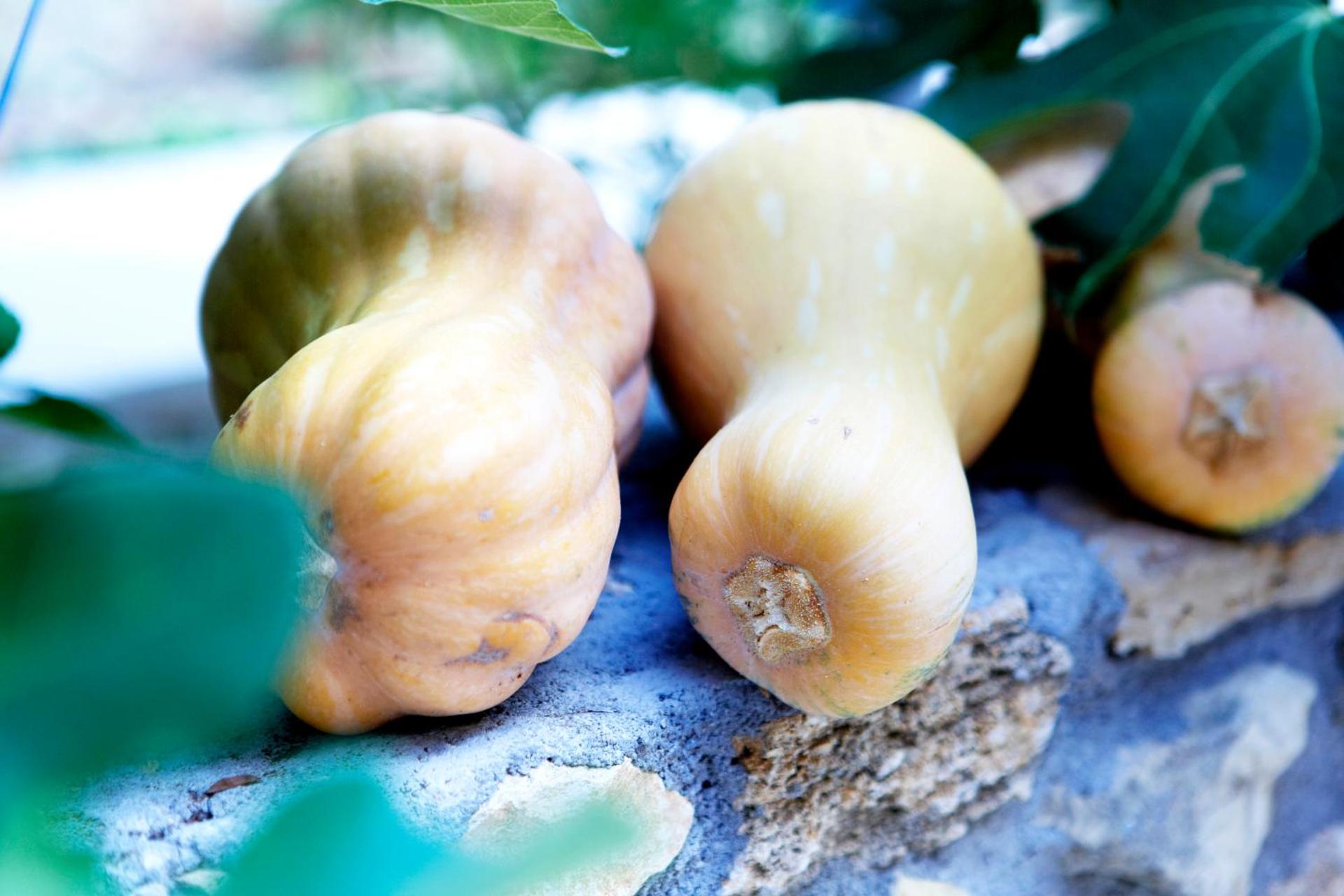 Avra Private Suites - Photo 178