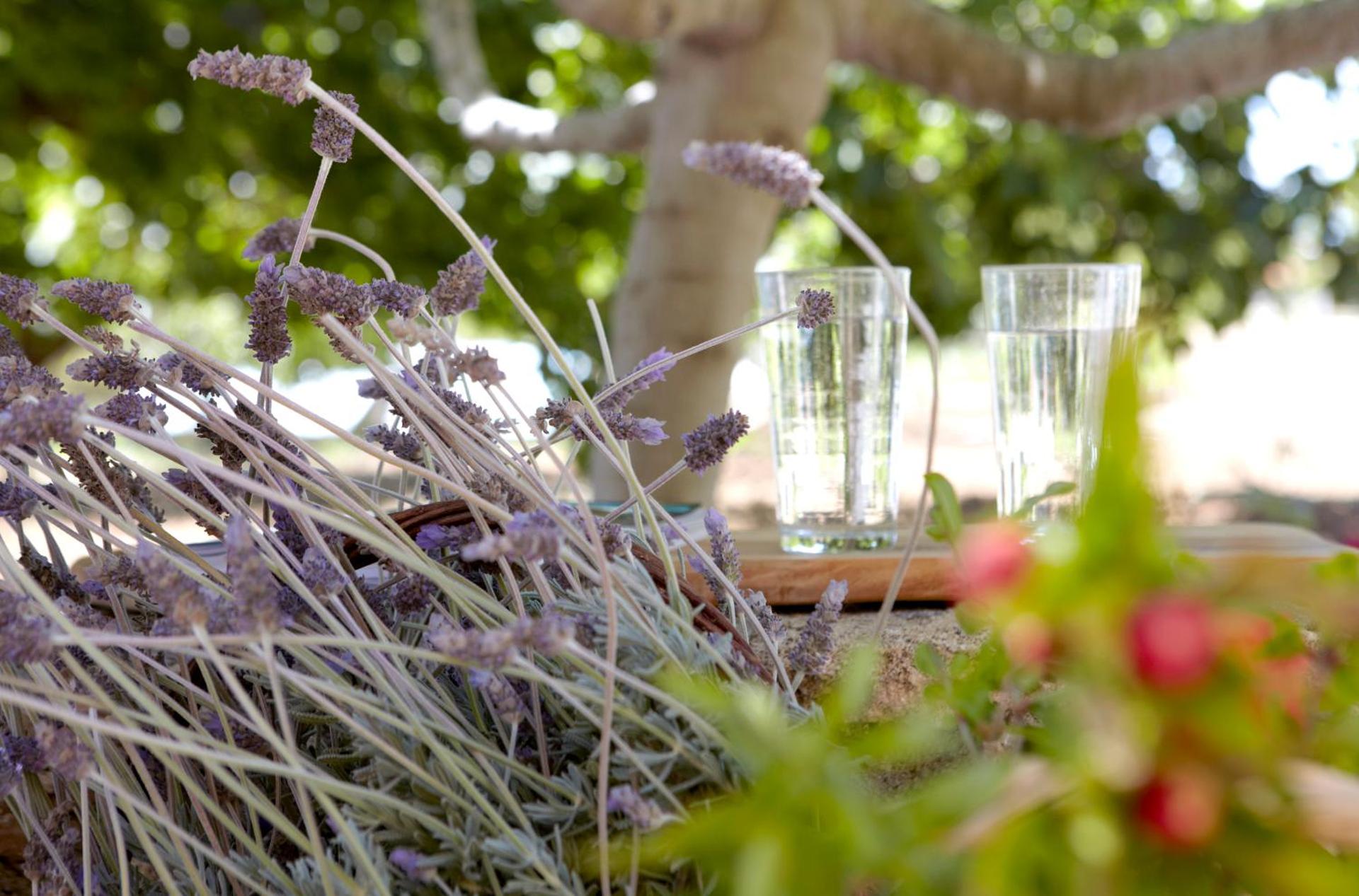 Avra Private Suites - Photo 184