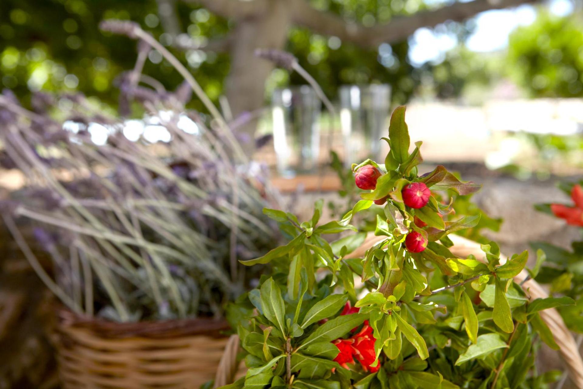 Avra Private Suites - Photo 38