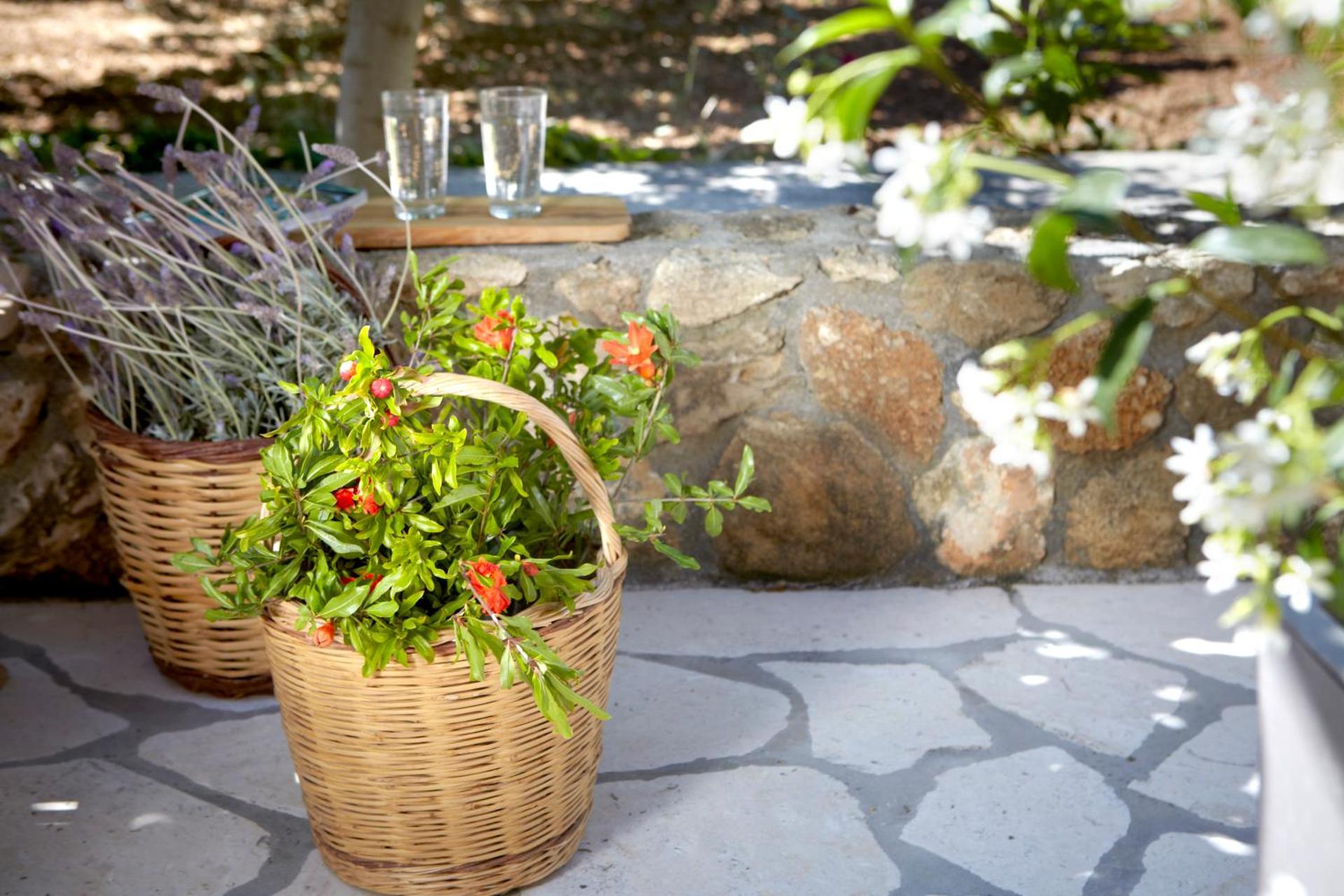 Avra Private Suites - Photo 189