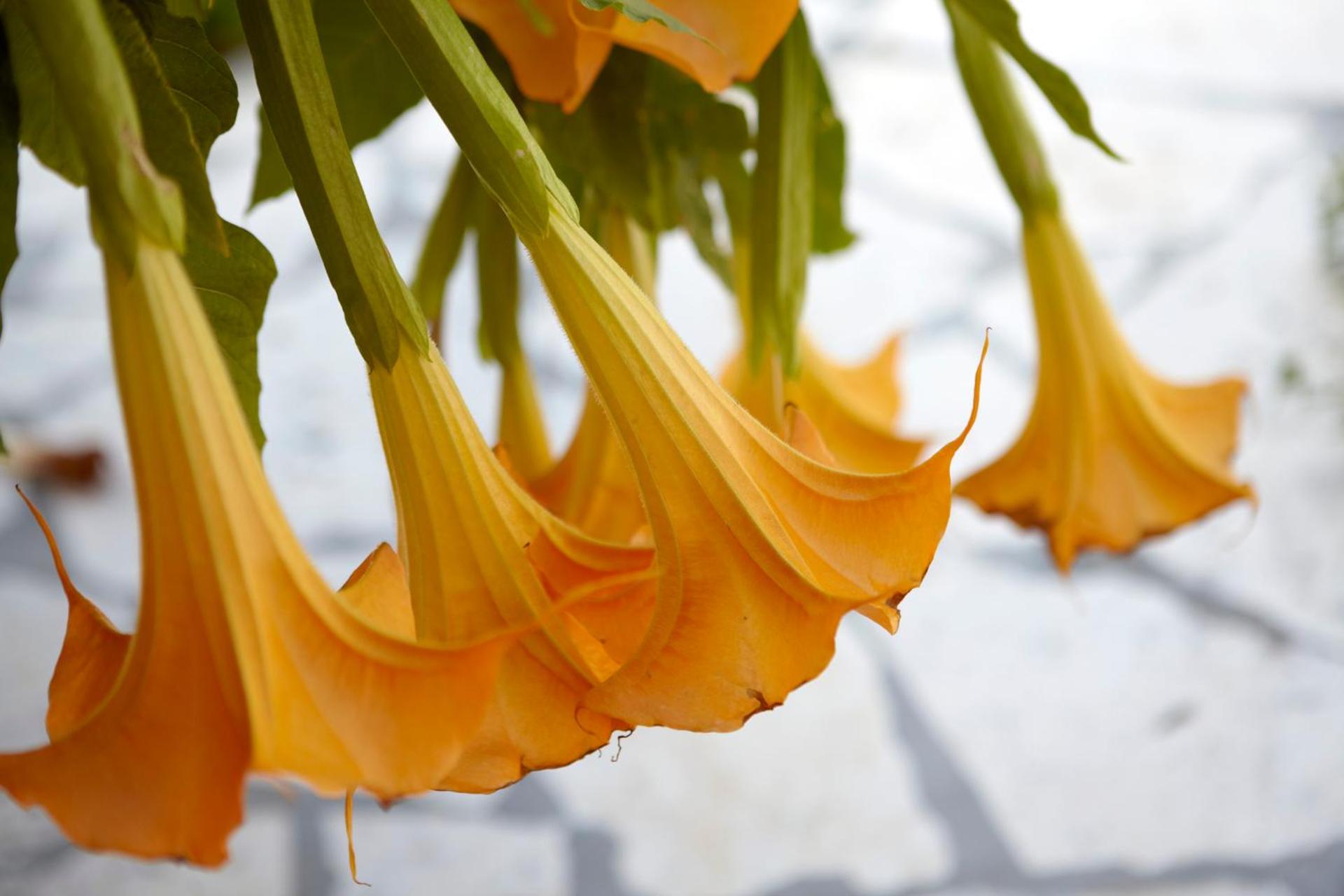 Avra Private Suites - Photo 68