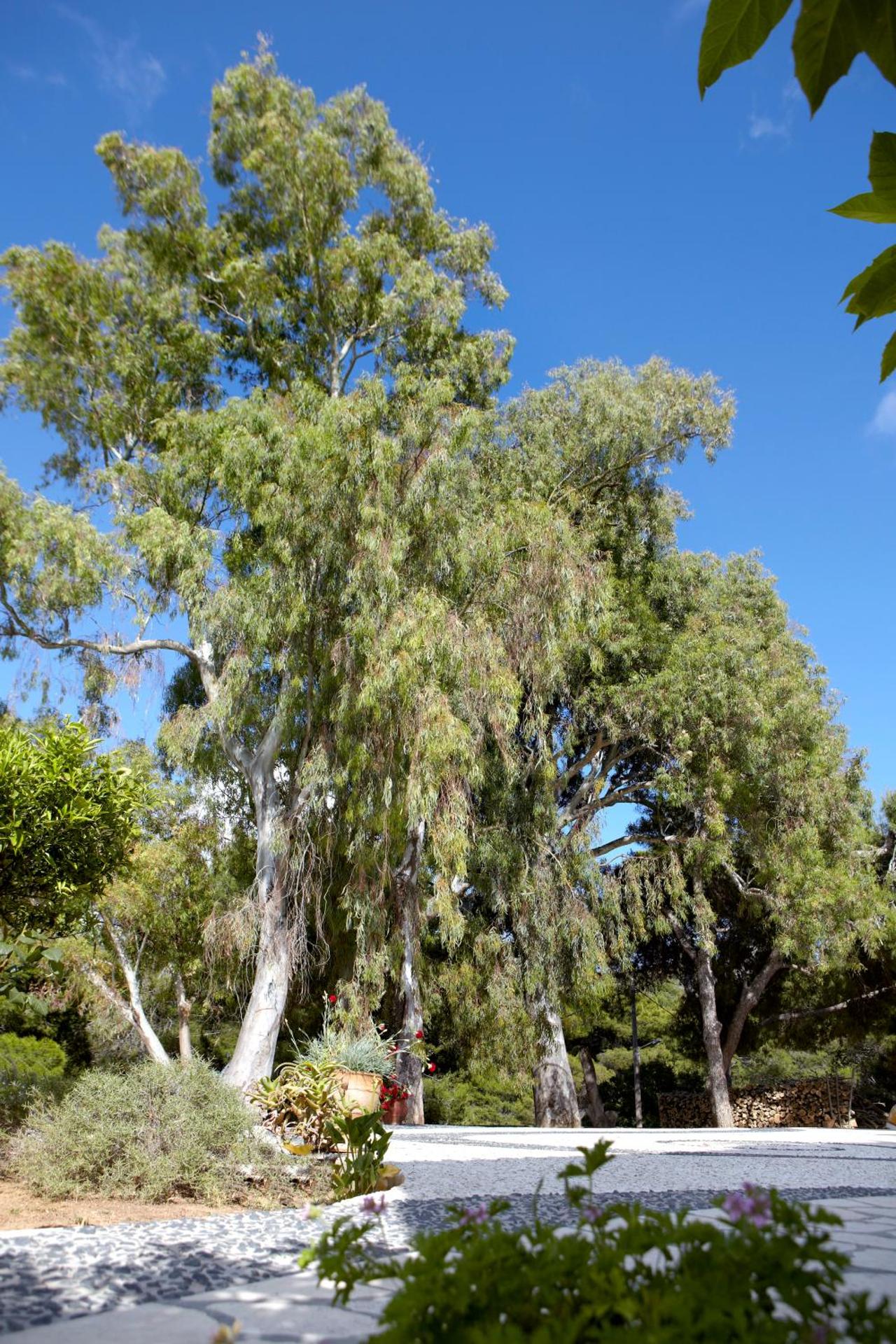 Avra Private Suites - Photo 69