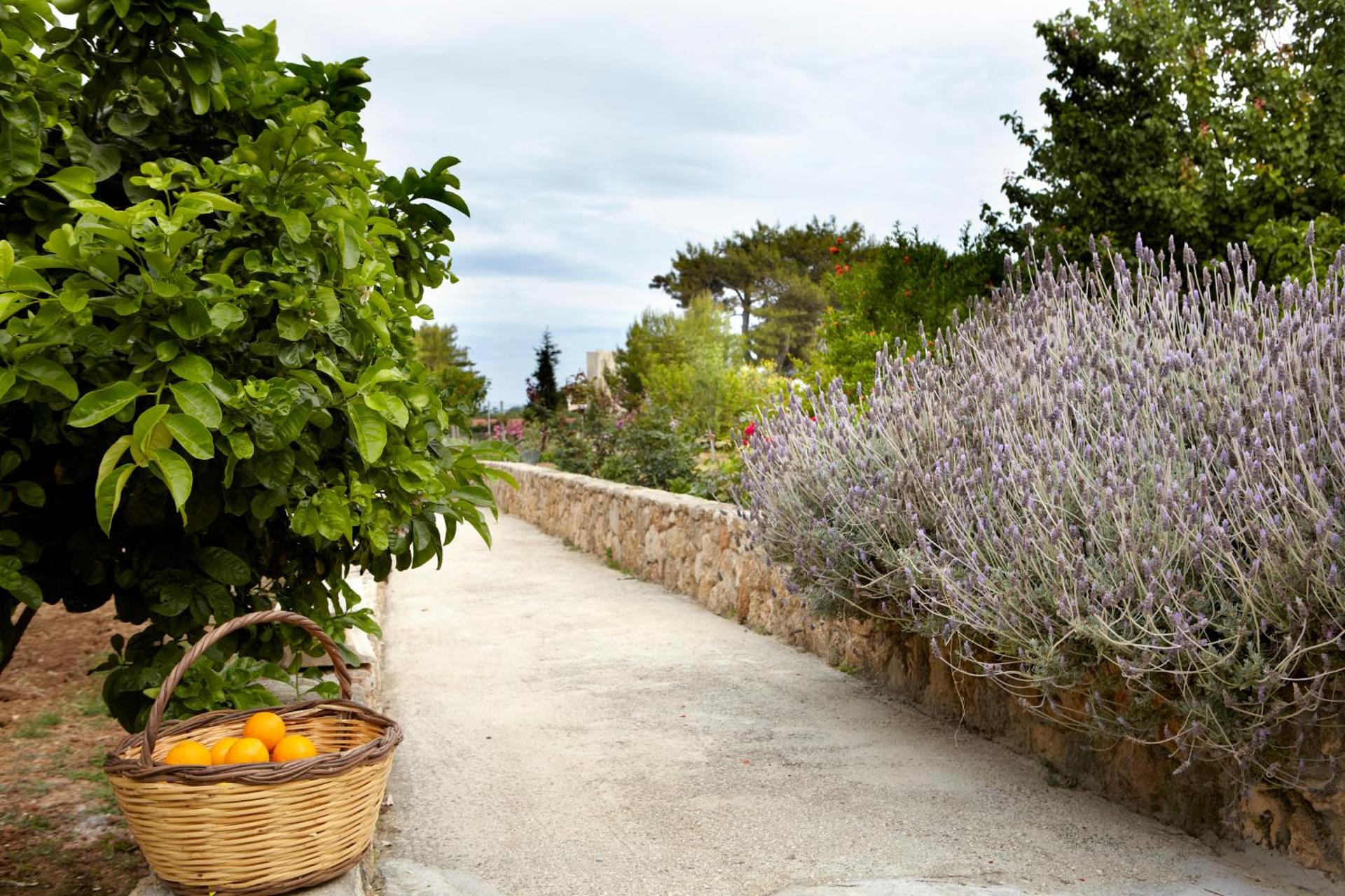 Avra Private Suites - Photo 70