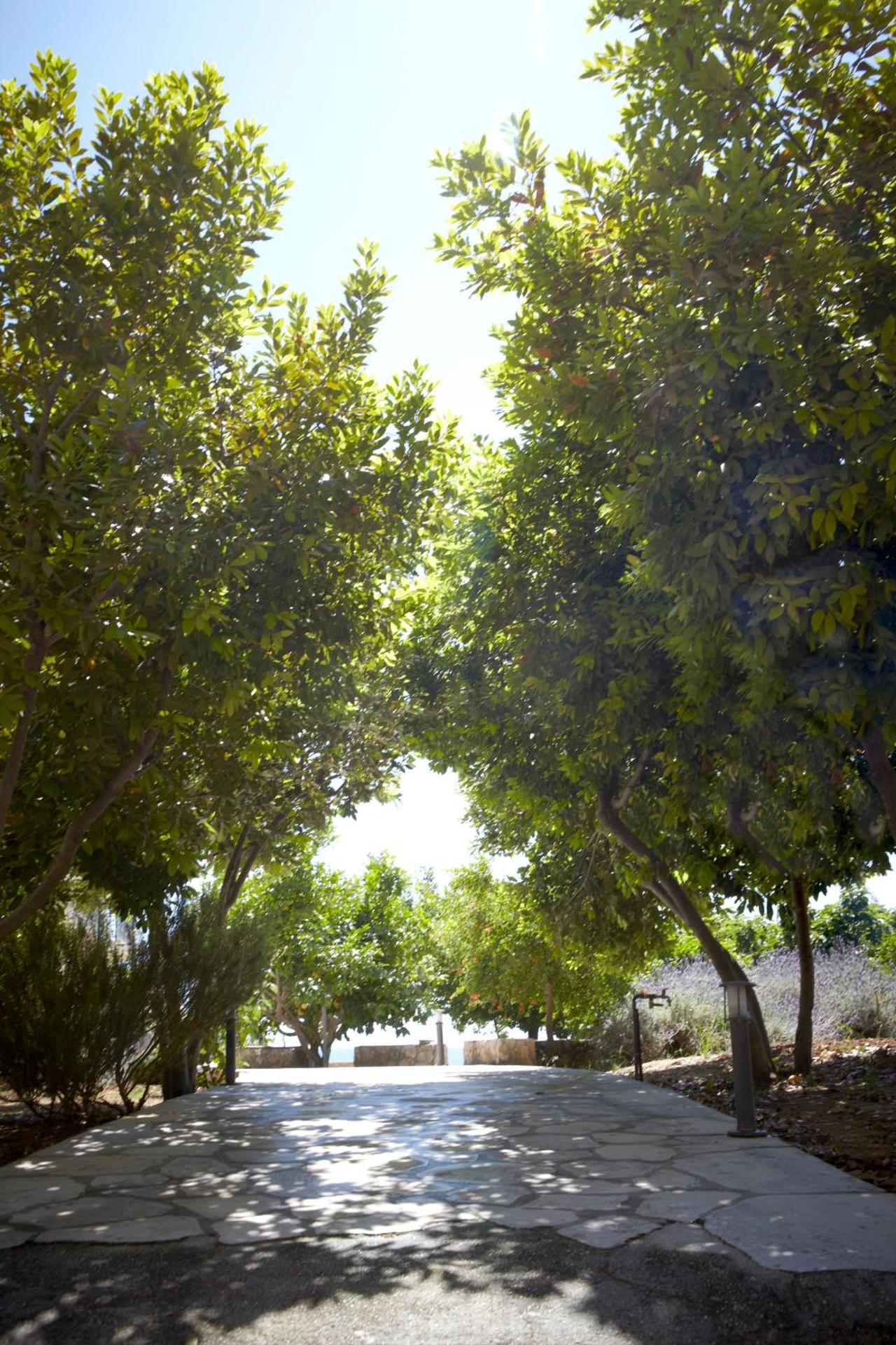 Avra Private Suites - Photo 77