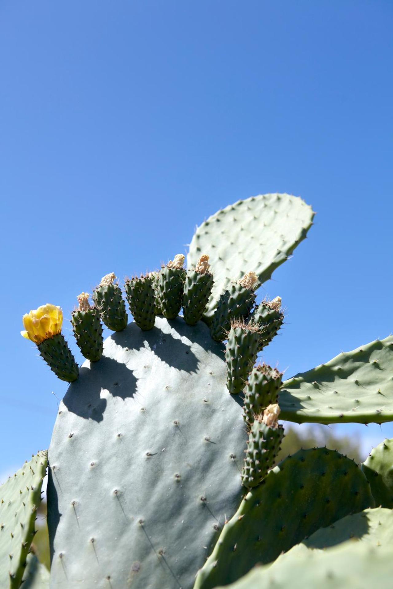 Avra Private Suites - Photo 194