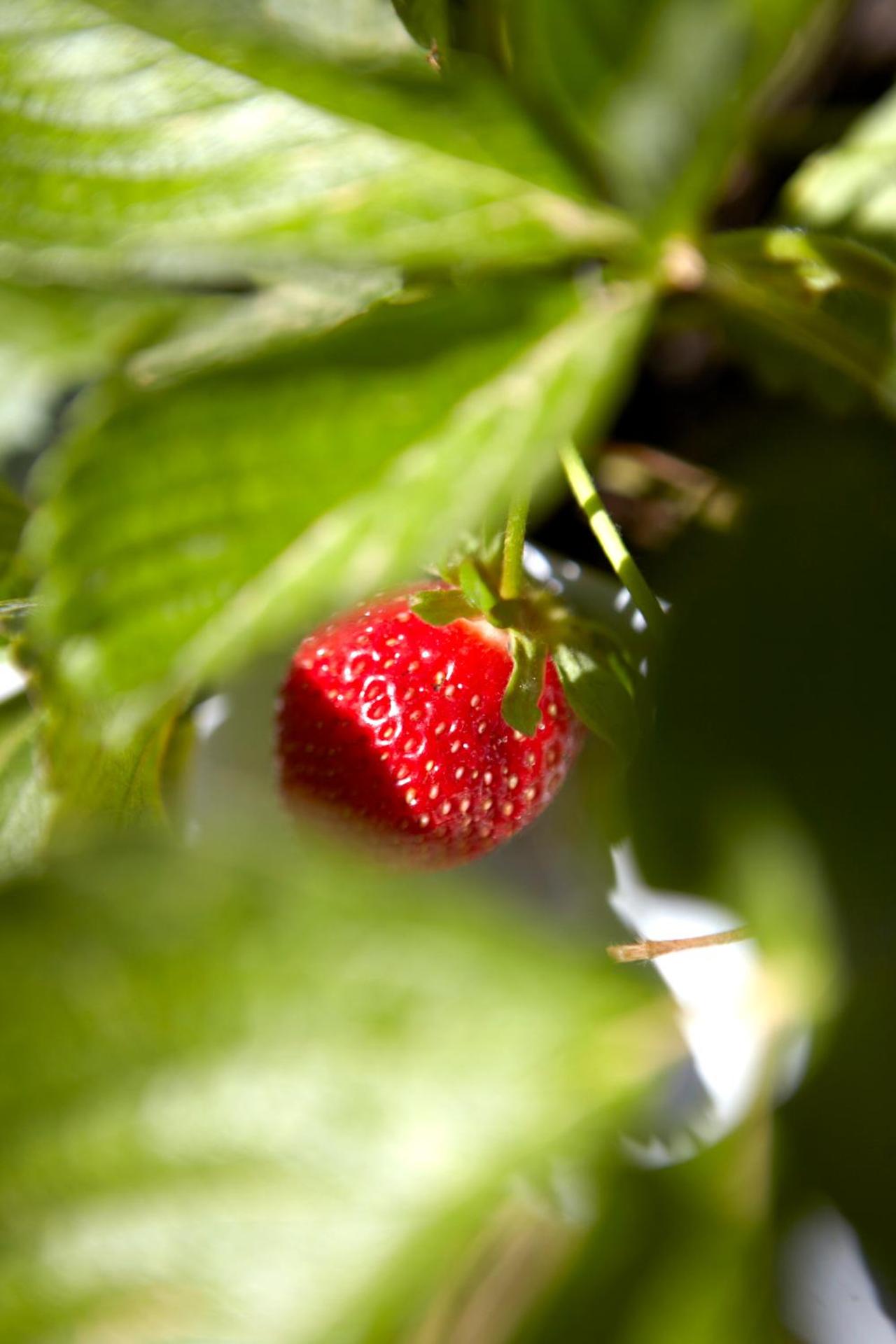 Avra Private Suites - Photo 41