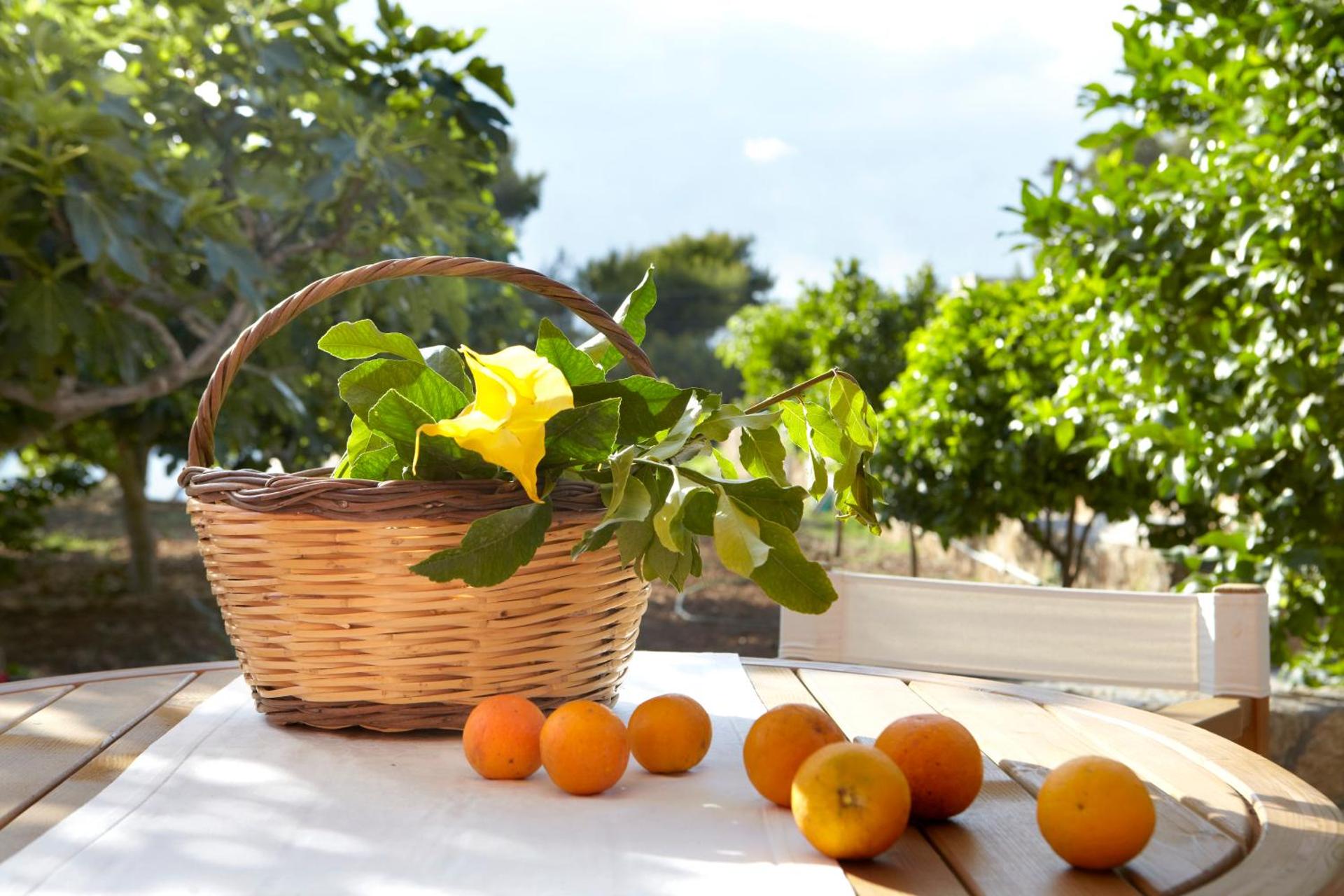 Avra Private Suites - Photo 25