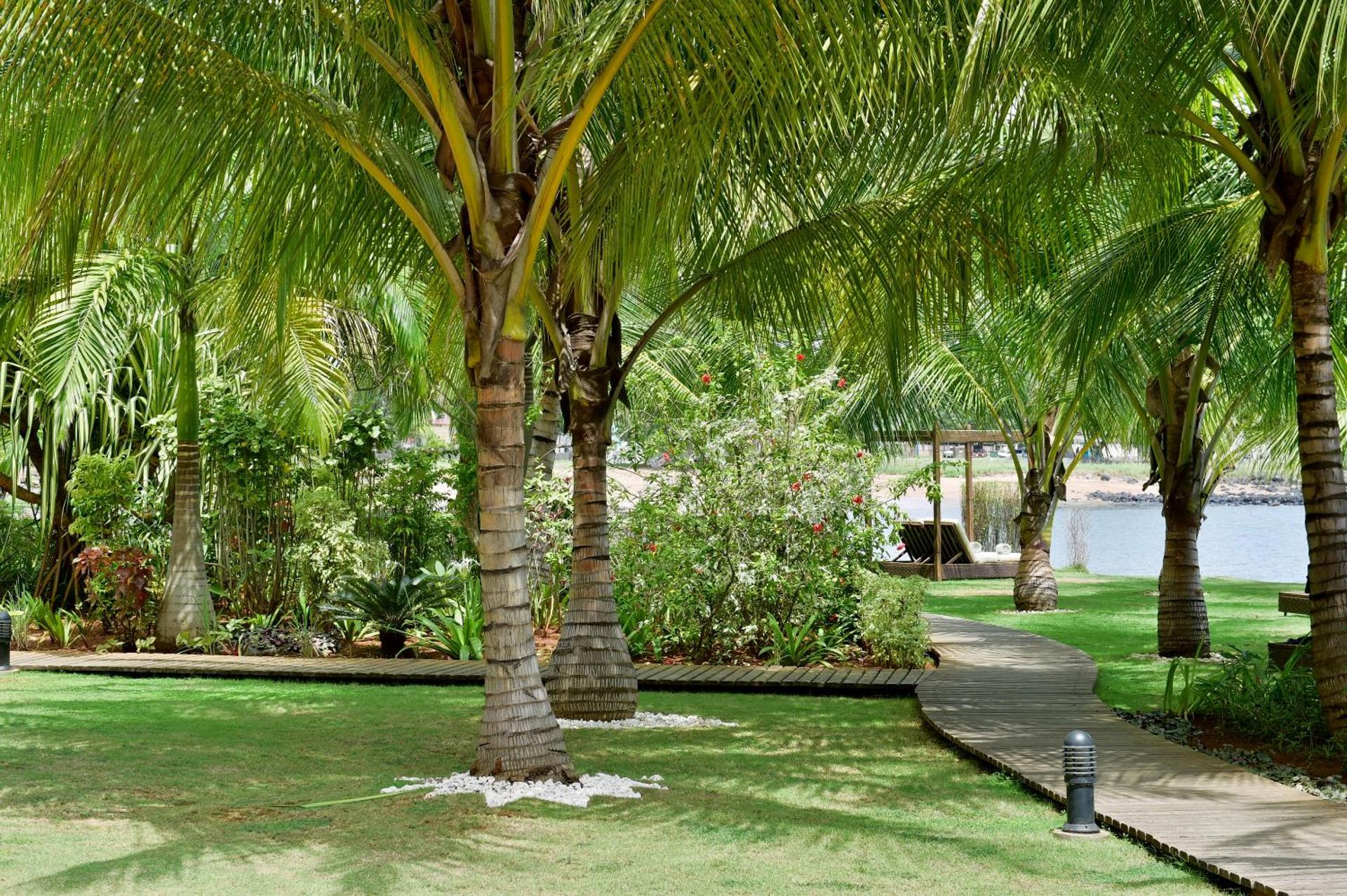 Pestana Sao Tome - Photo 32