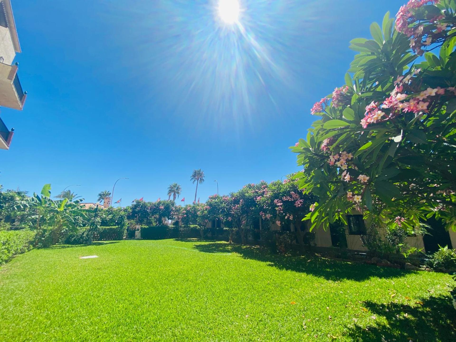 Apartamentos Los Jazmines - Photo 19