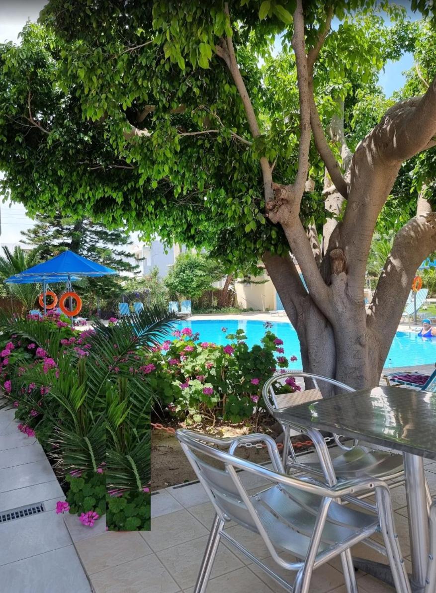 Castro Hotel - Photo 158