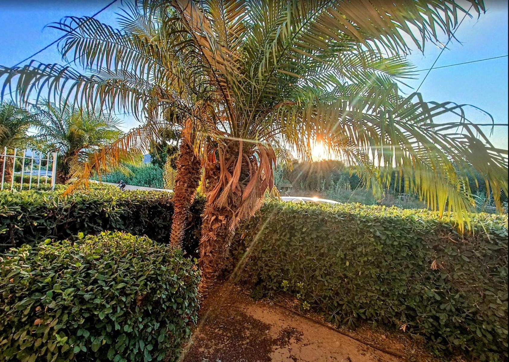 Castro Hotel - Photo 161