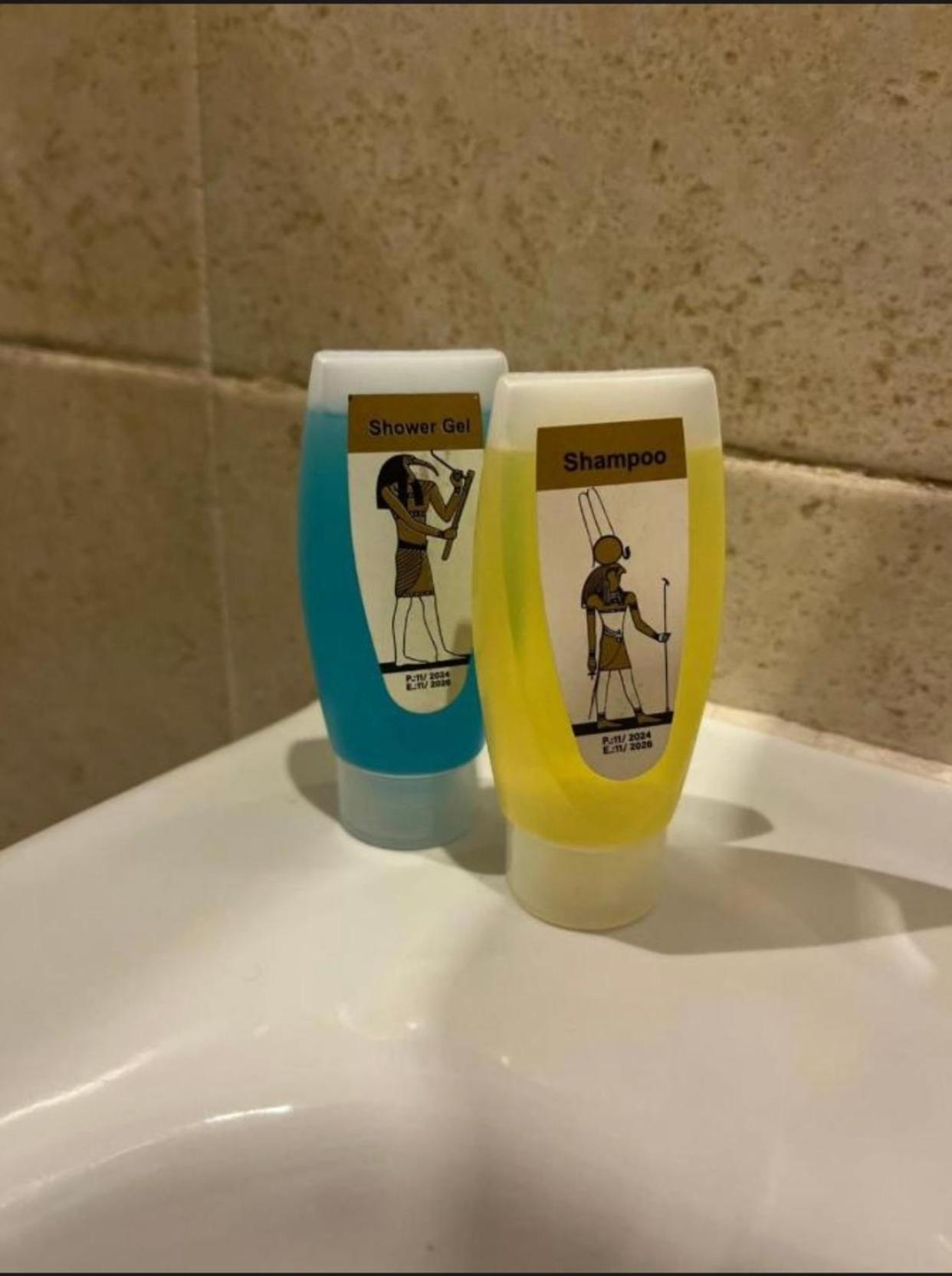 Lyra Pyramids Inn - Photo 48